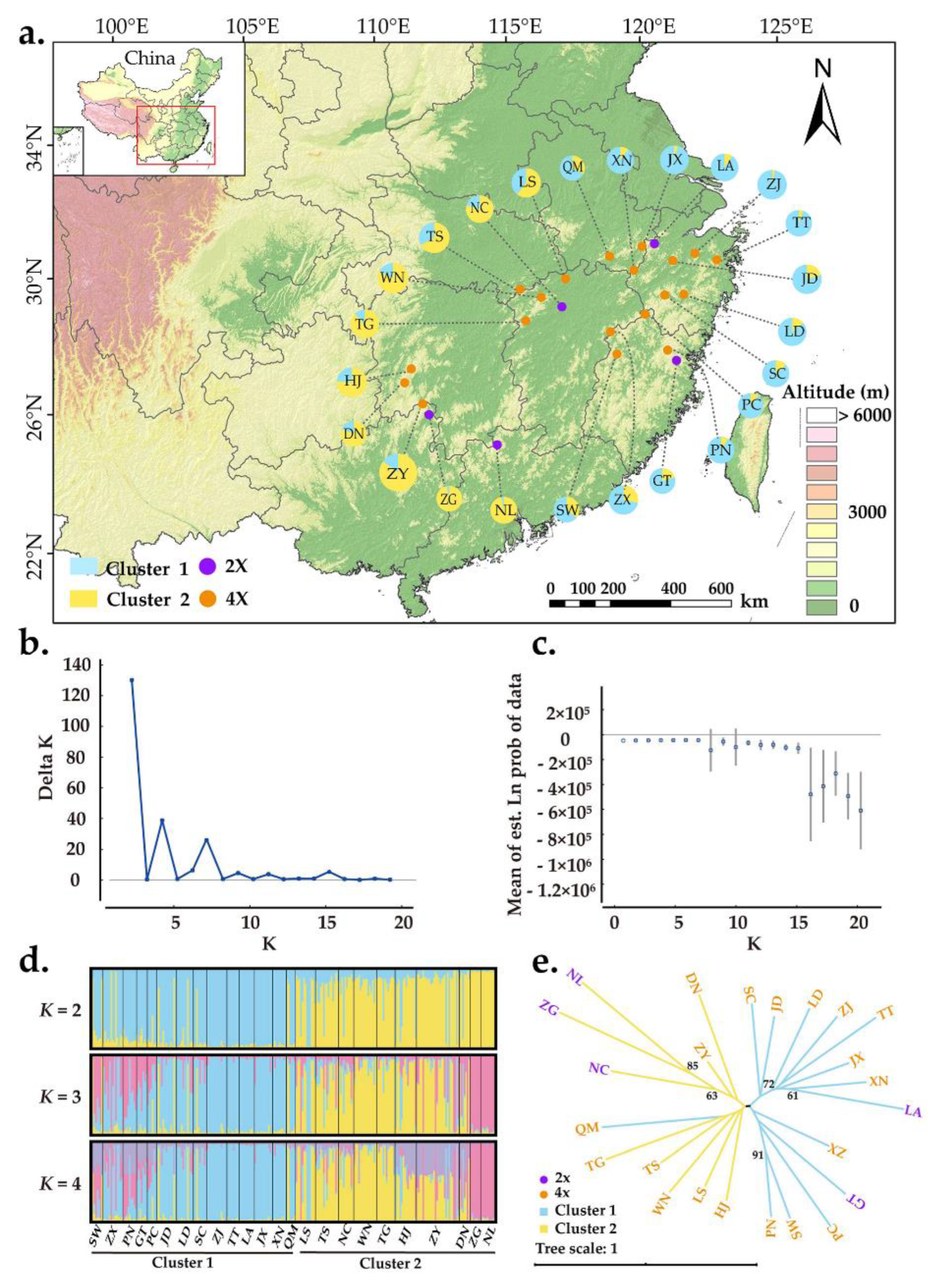 Plants 11 01154 g003
