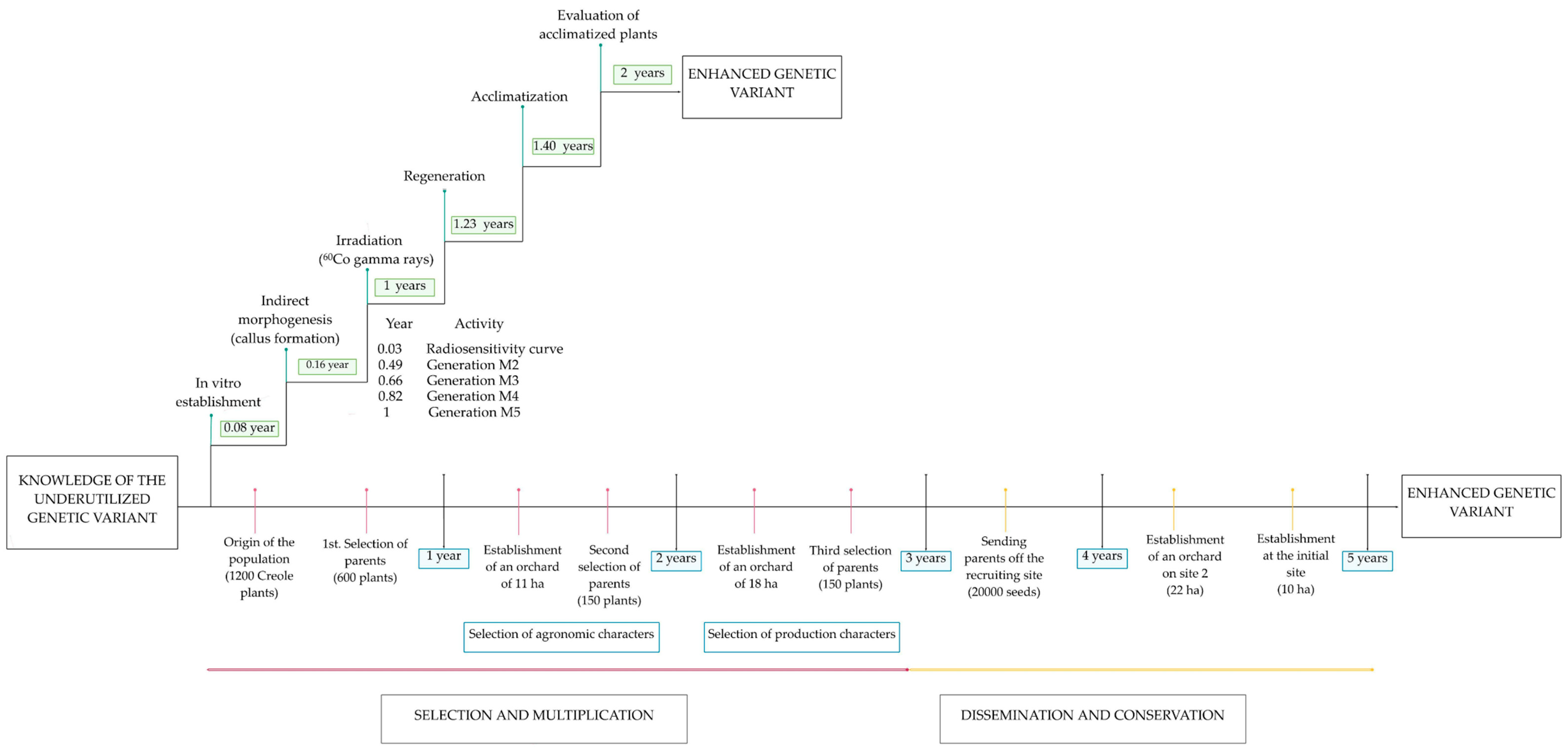 Plants 11 01161 g003 Plants 11 01161 g003