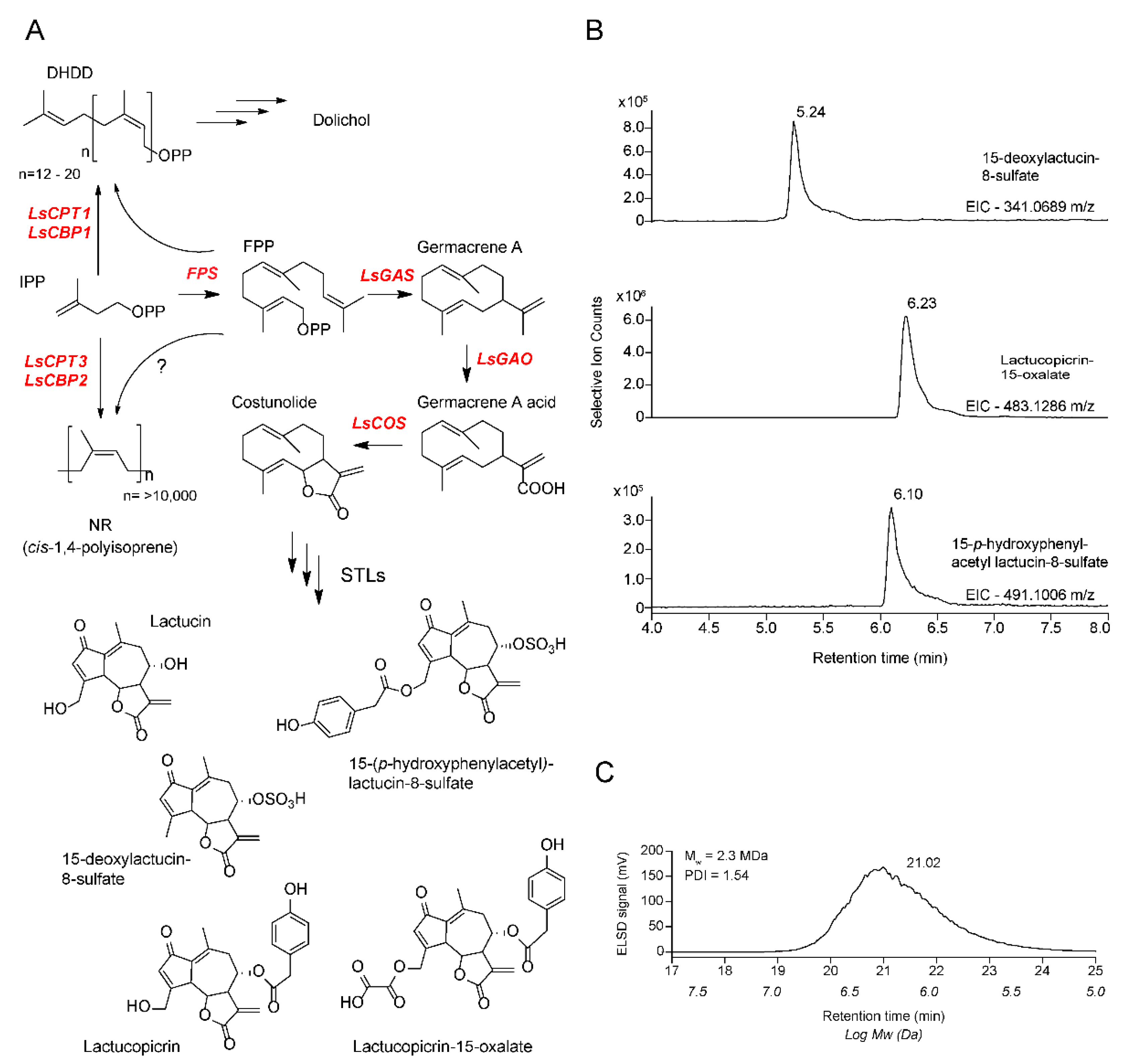 Plants 11 01192 g001