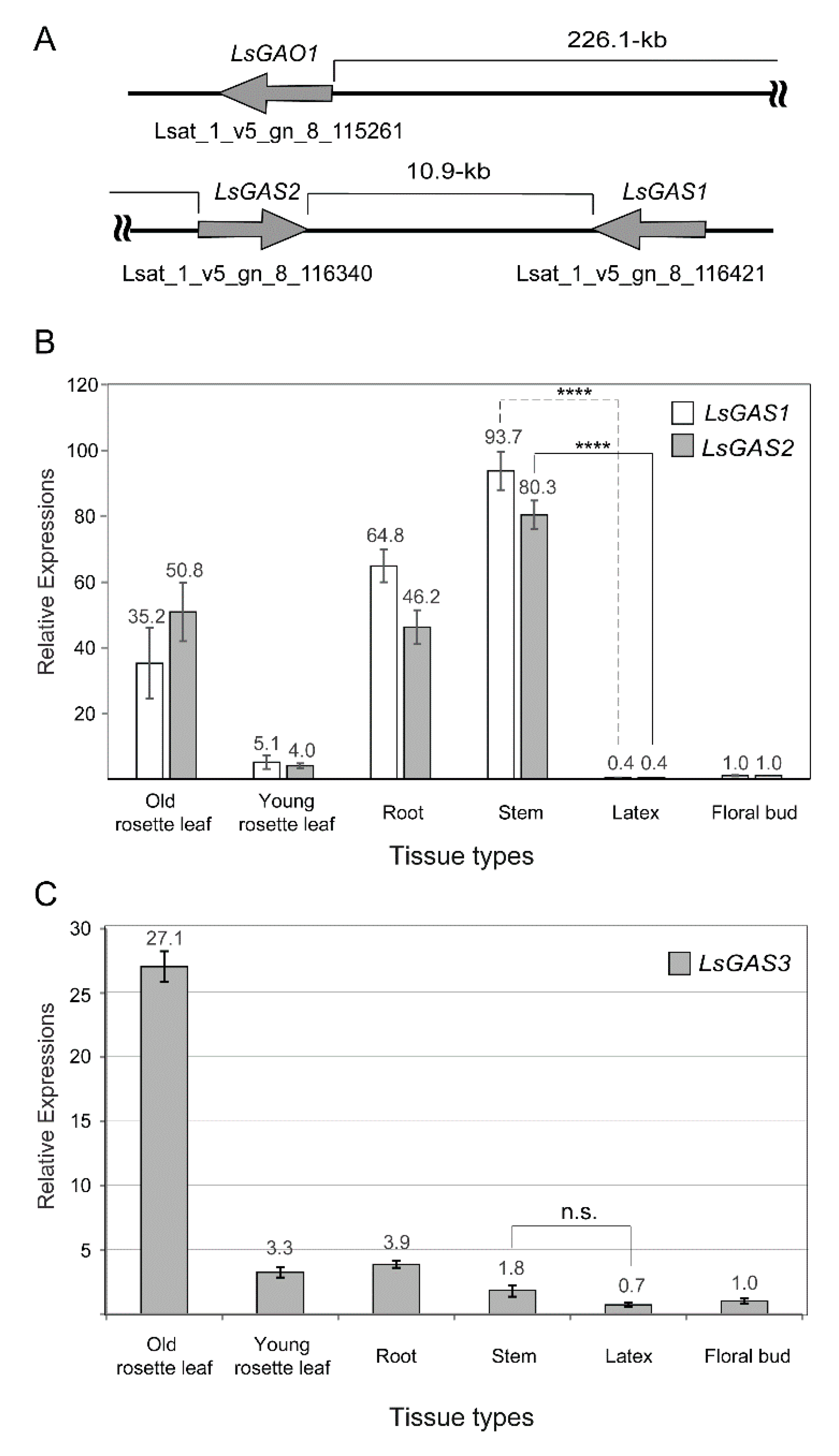 Plants 11 01192 g002