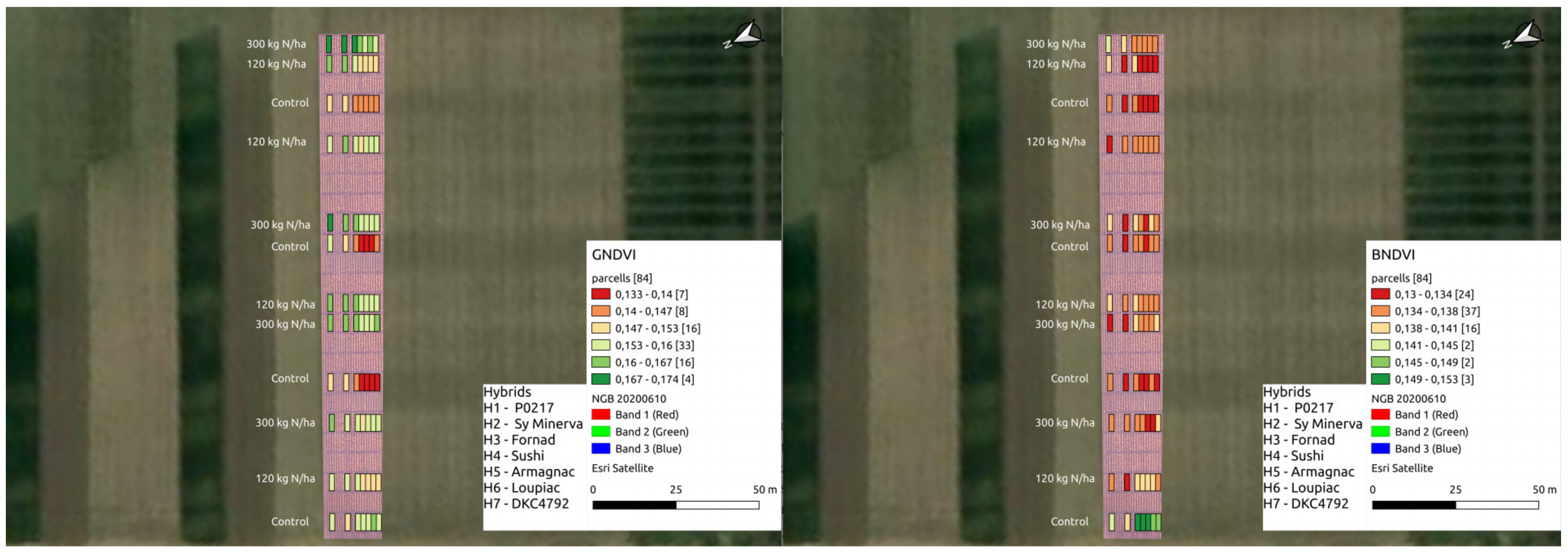 Plants 11 01197 g006 Plants 11 01197 g006