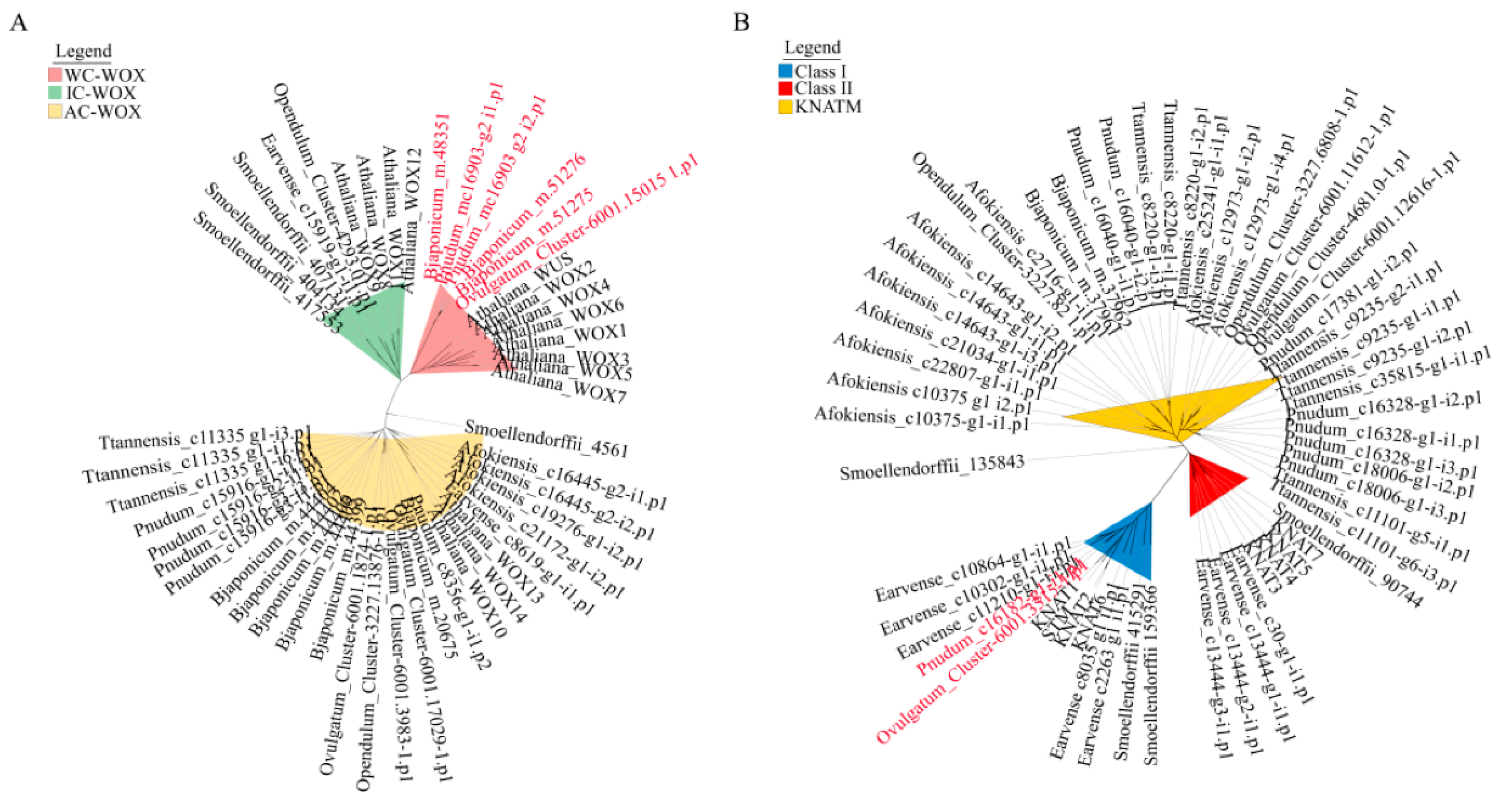 Plants 11 01198 g004