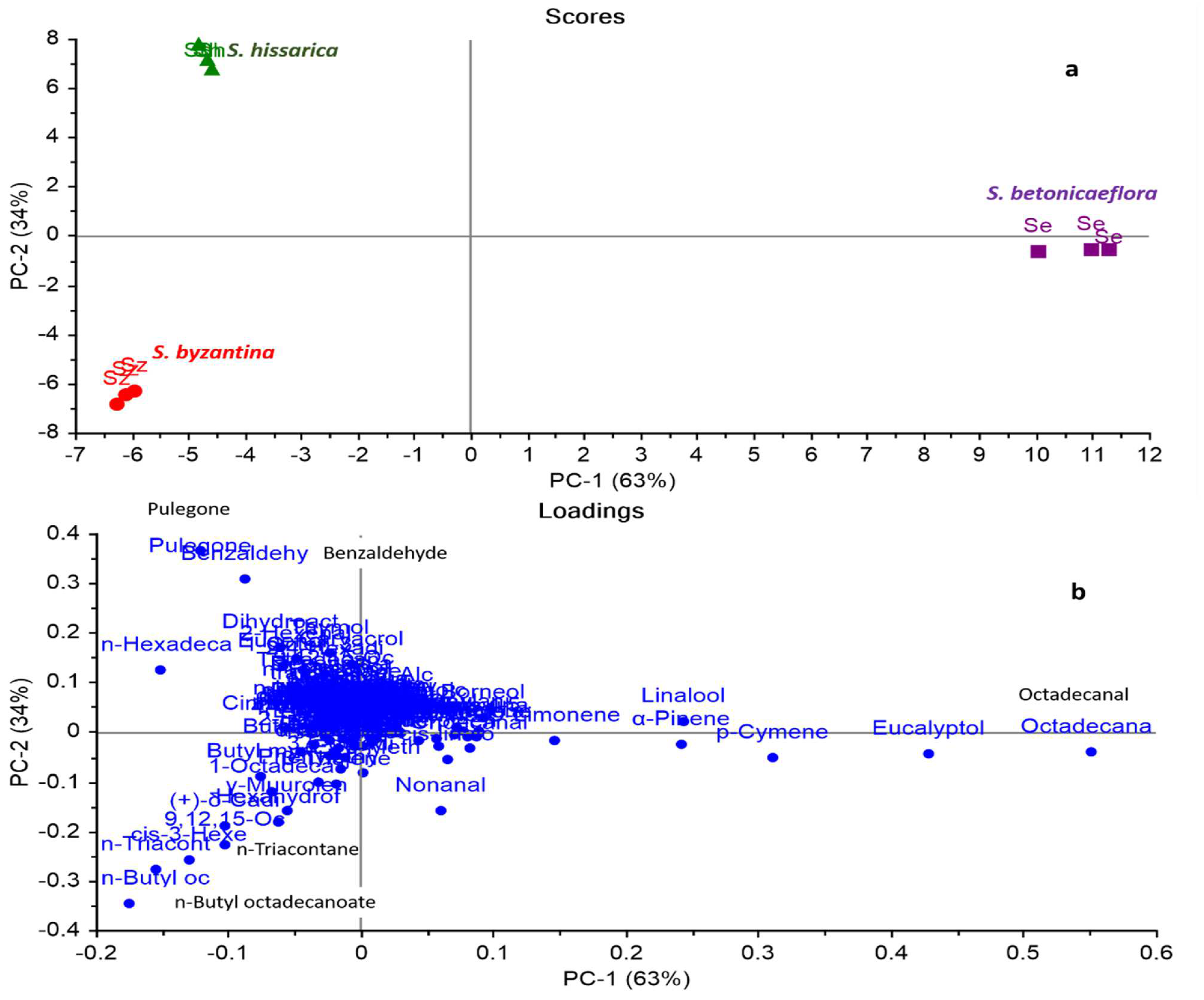 Frontiers  Quality evaluation of compounds in leaves of six Taxus