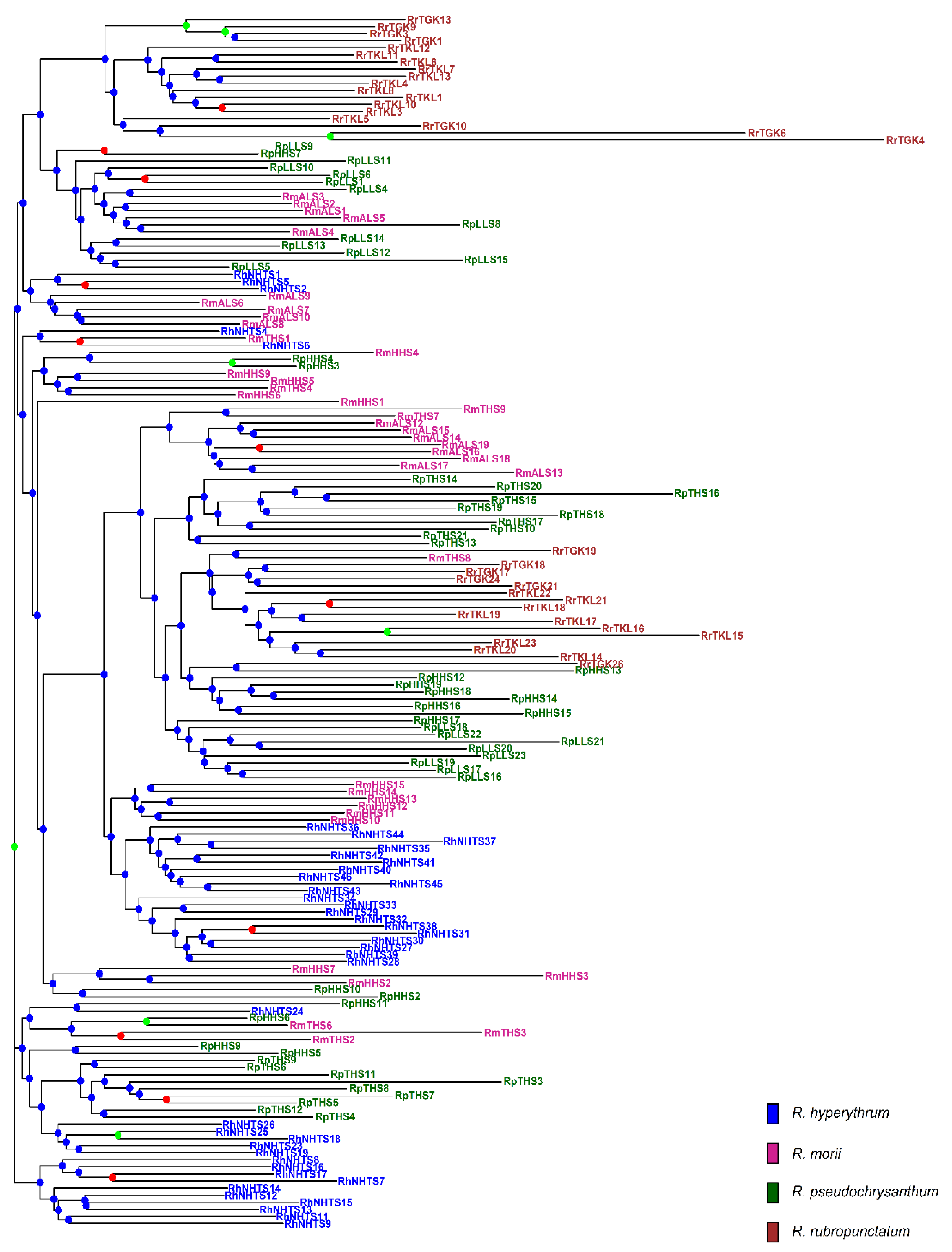 Plants 11 01226 g003