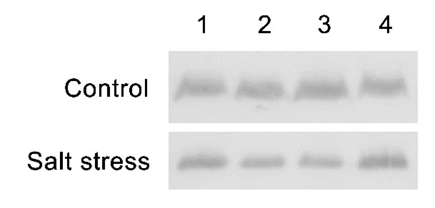 Plants 11 01233 g006