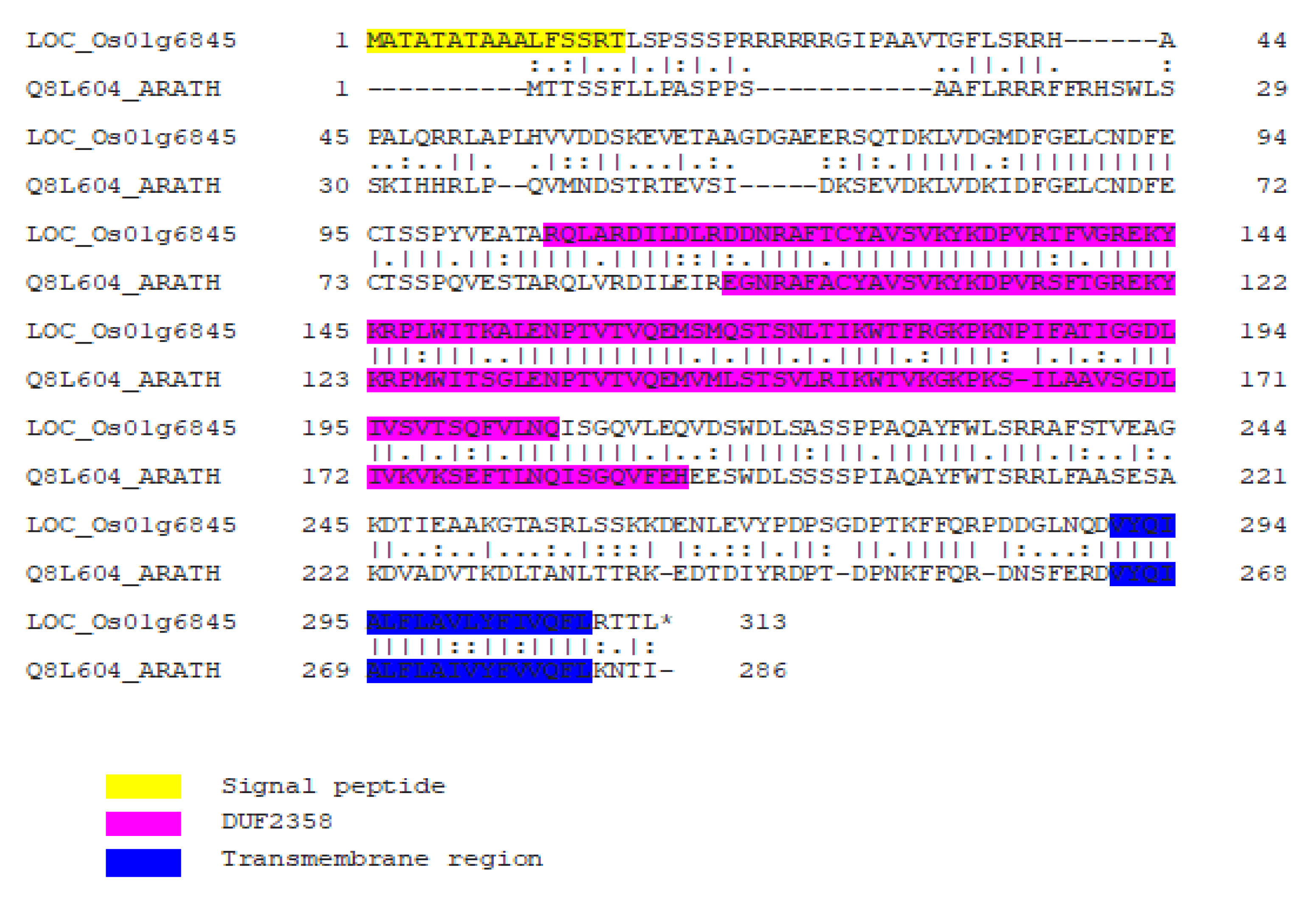 Plants 11 01233 g008