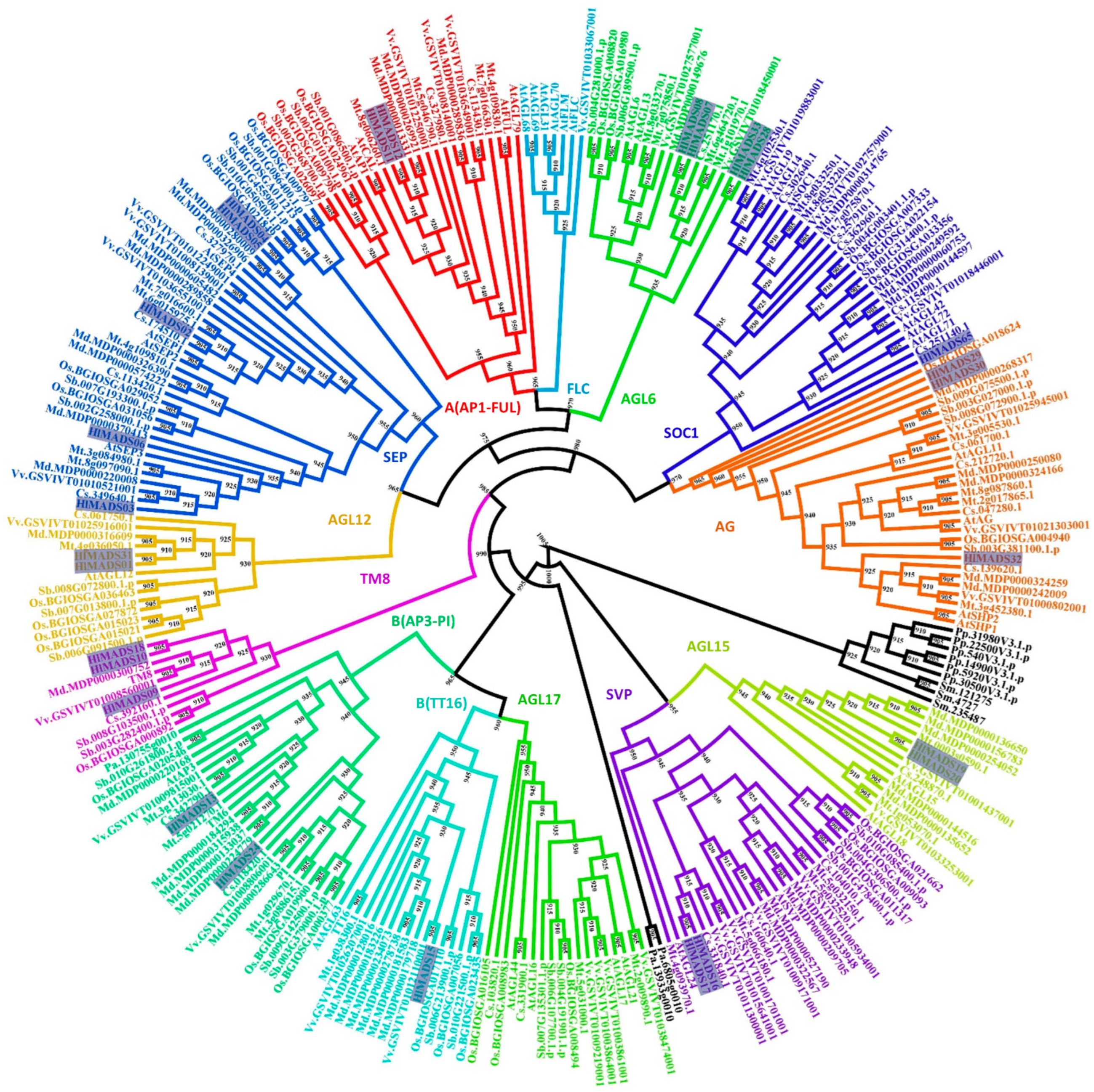 Plants 11 01237 g001