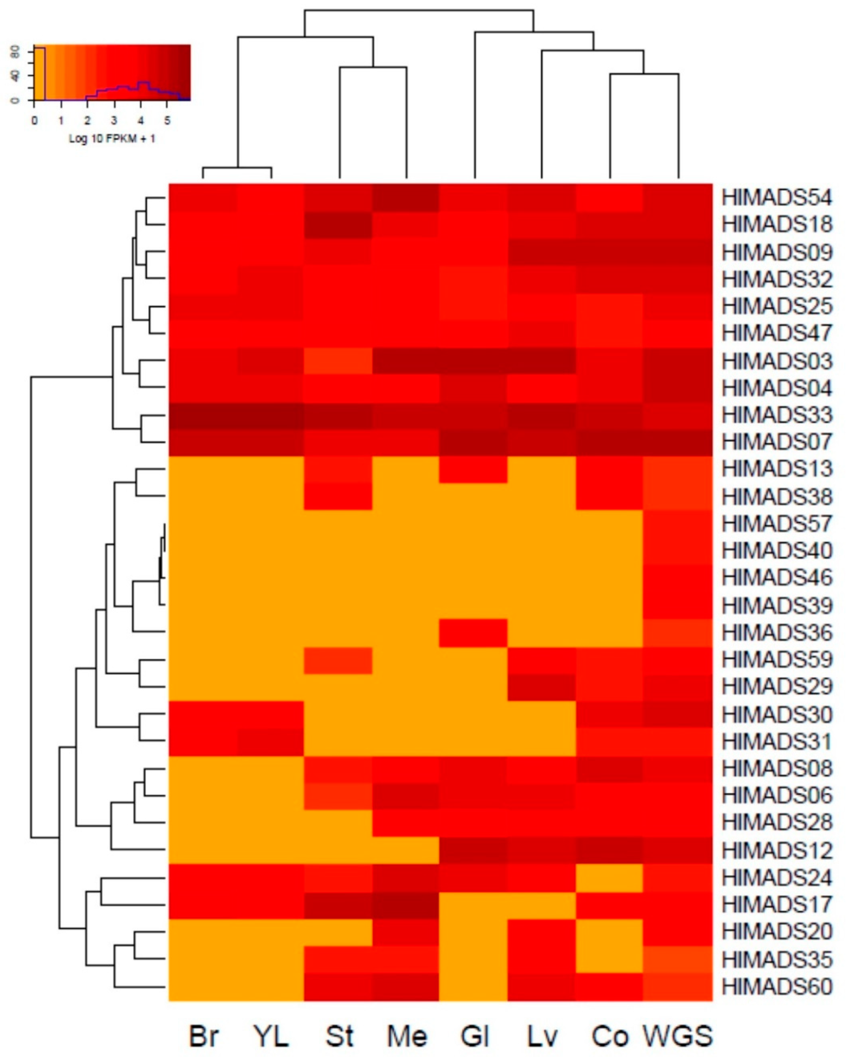 Plants 11 01237 g005