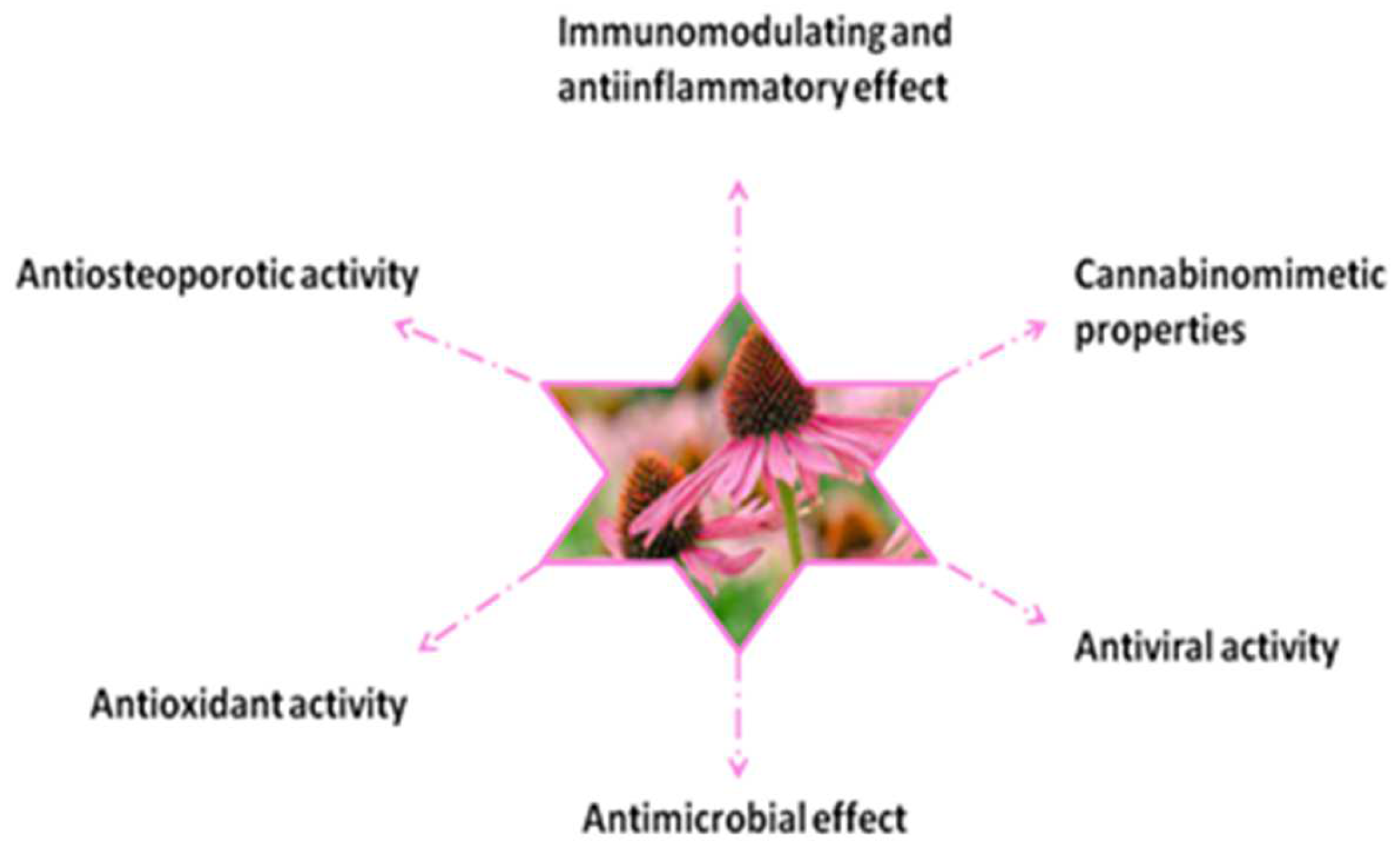 A summary of metabolite distribution in the three medicinal Echinacea