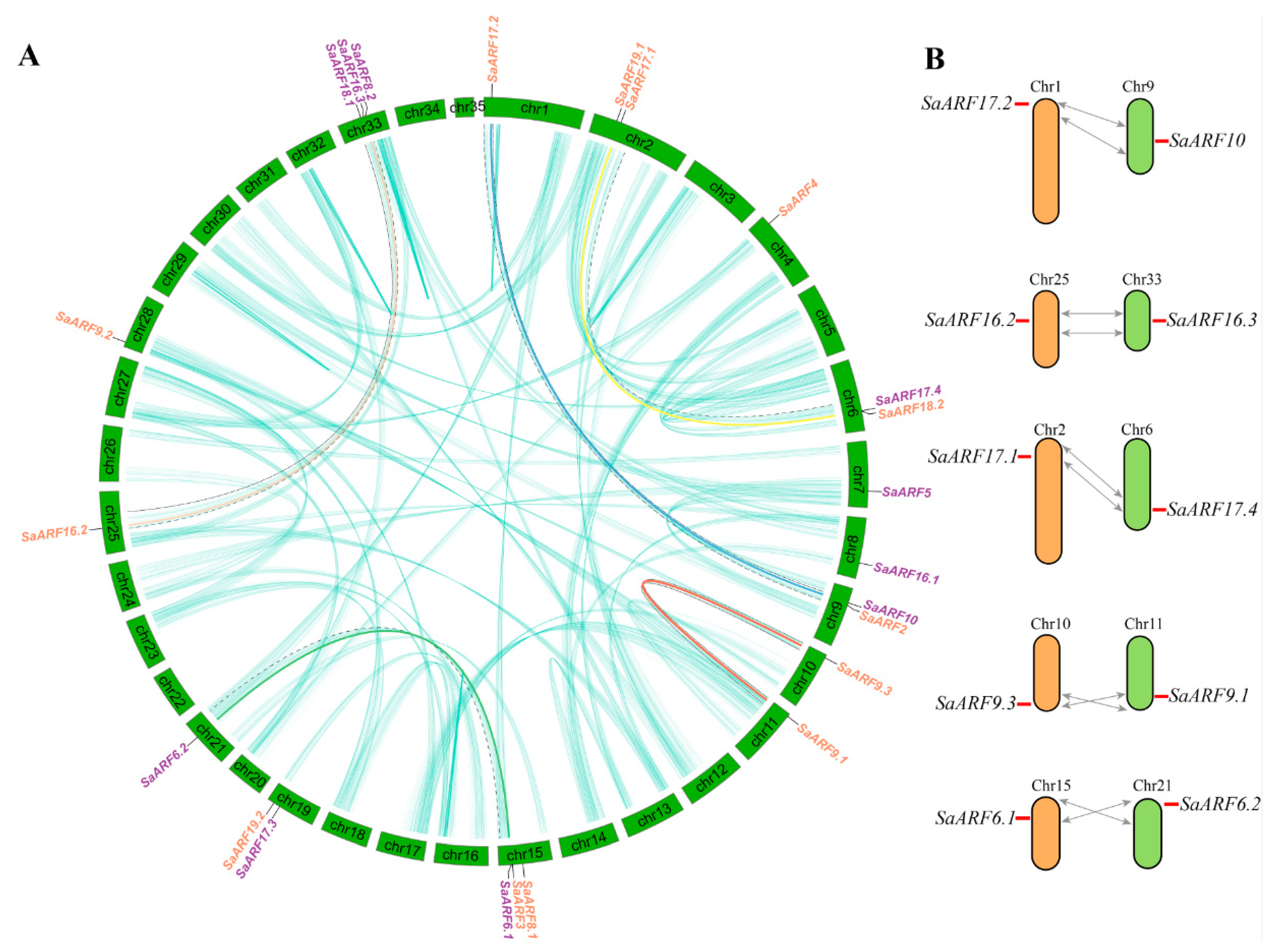 Plants 11 01273 g002