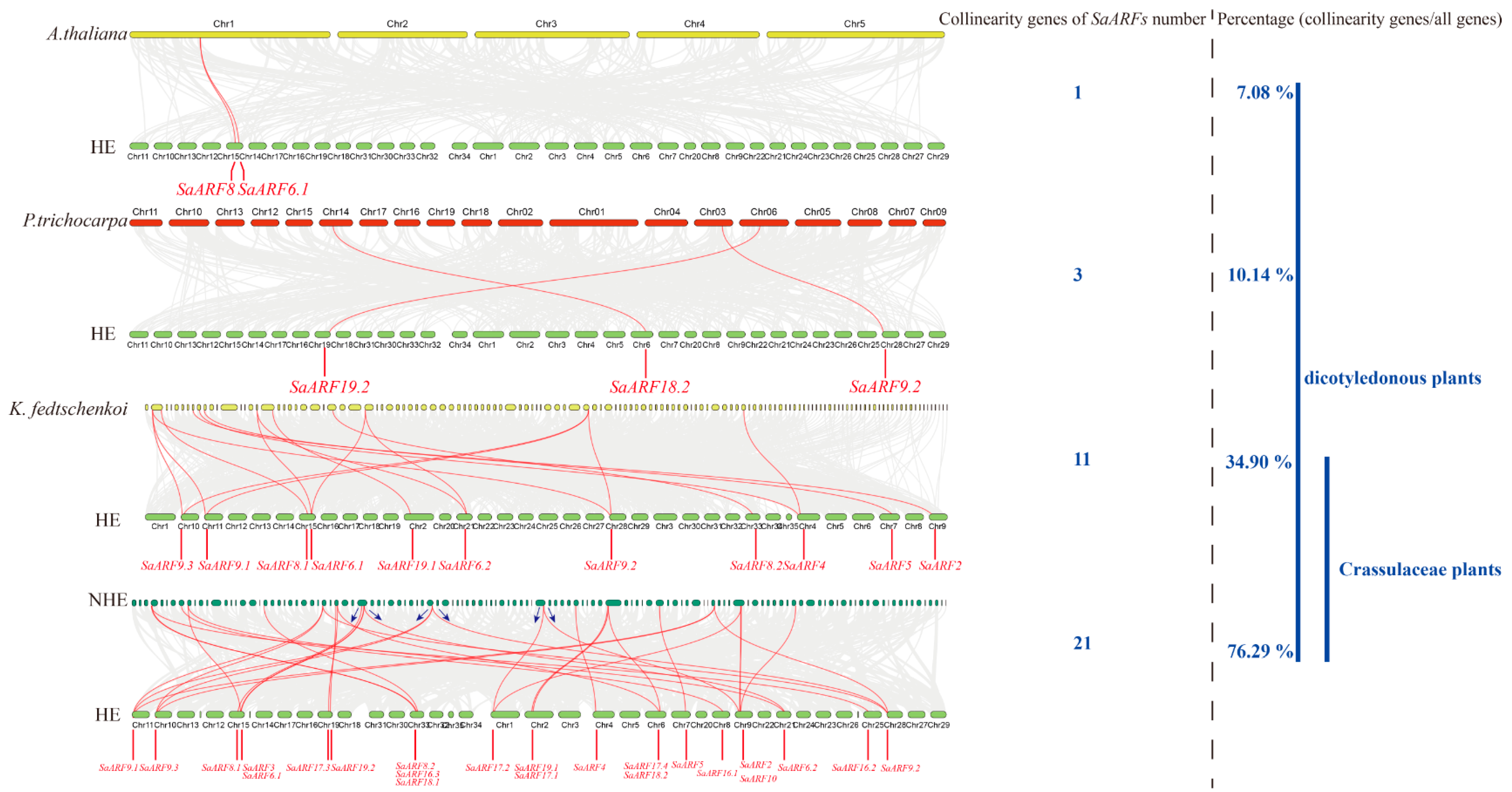 Plants 11 01273 g003