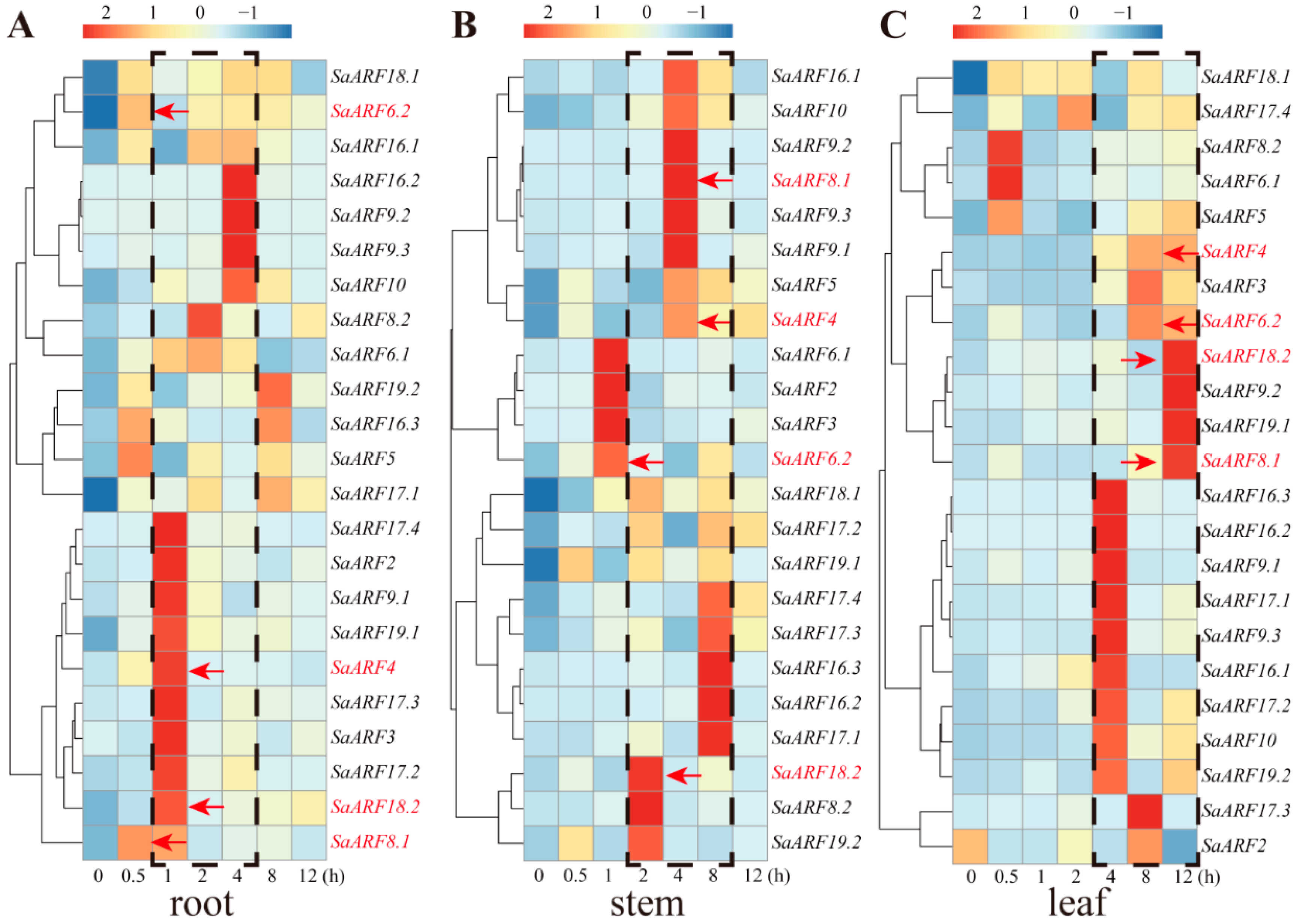 Plants 11 01273 g004