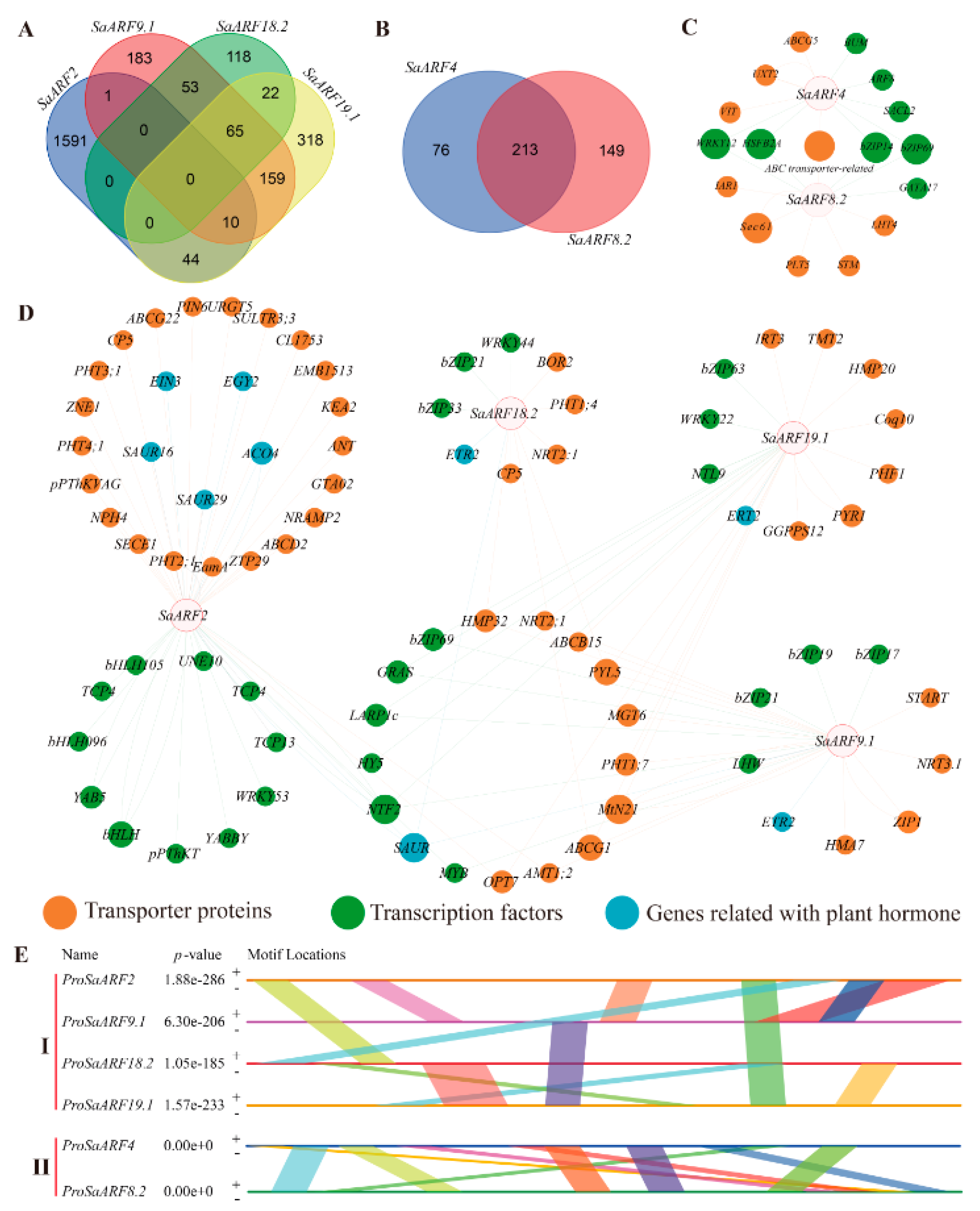 Plants 11 01273 g005