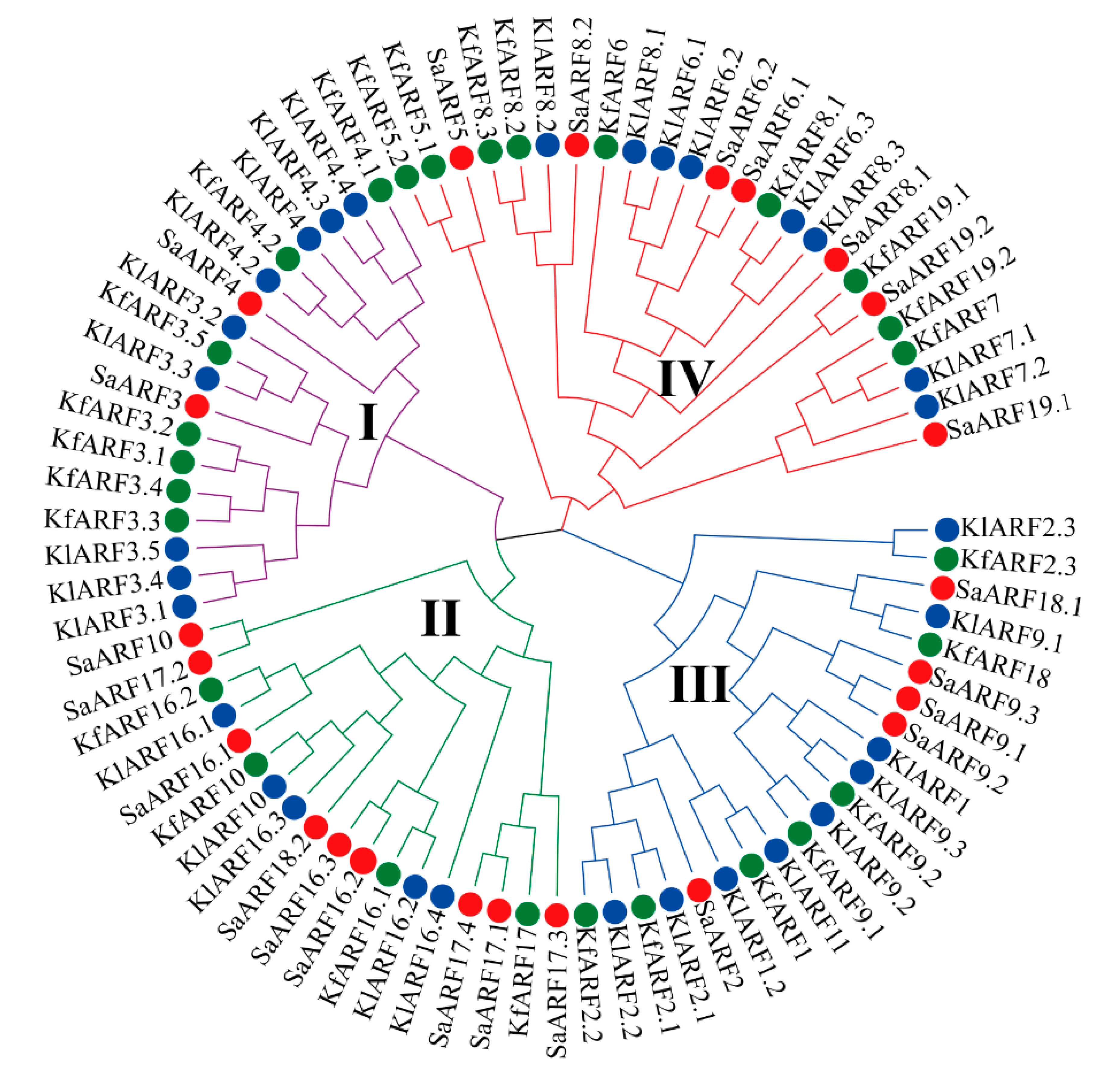 Plants 11 01273 g006