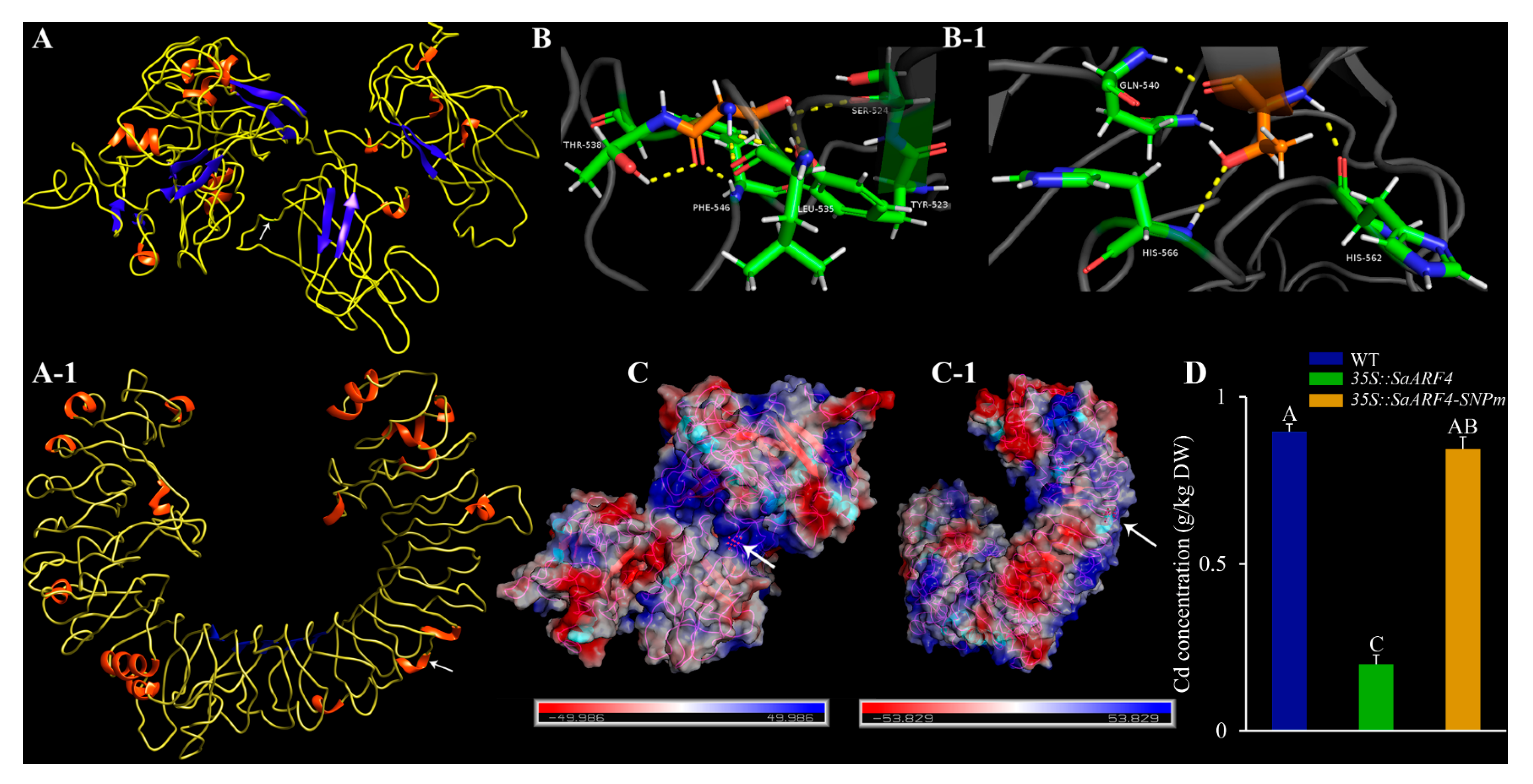 Plants 11 01273 g007