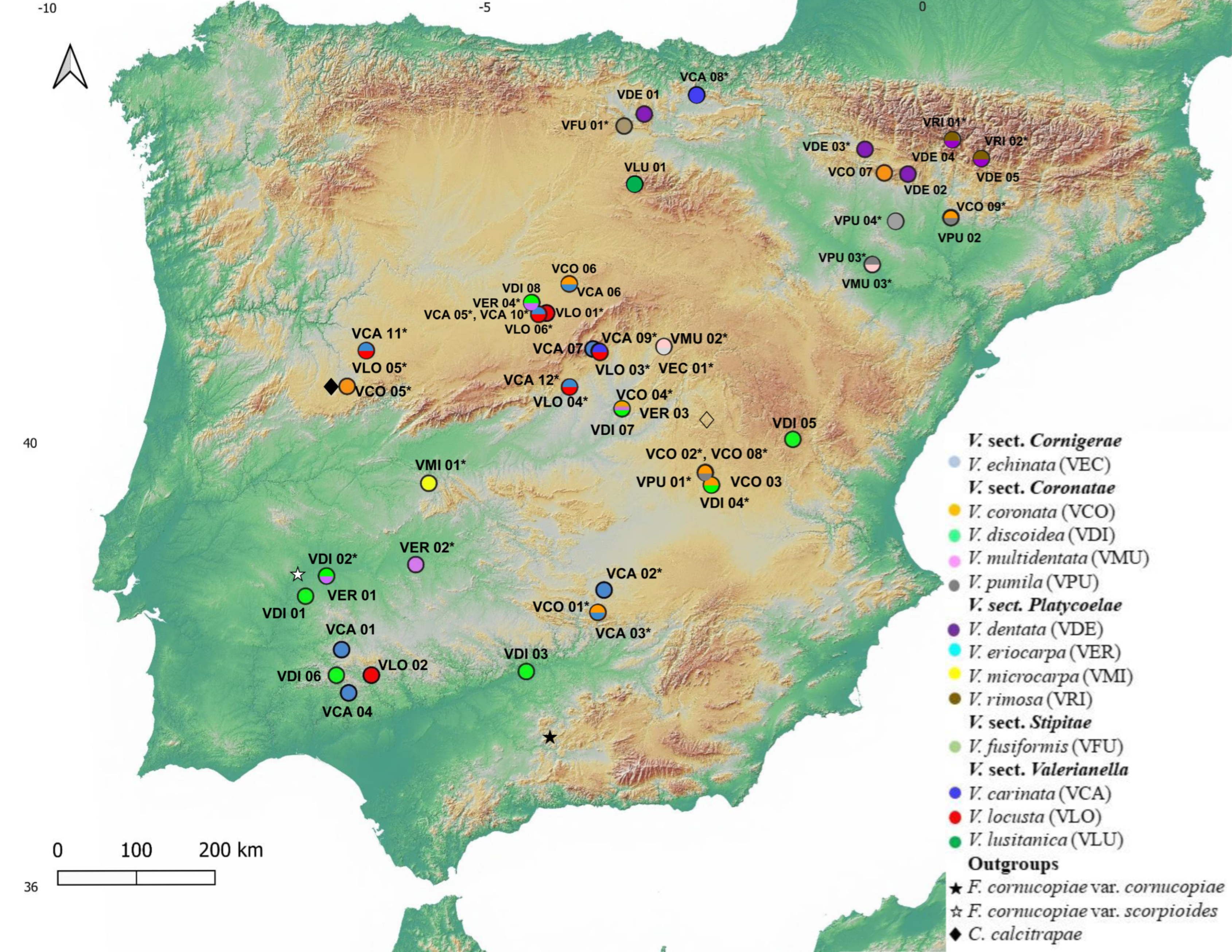 Plants 11 01276 g001