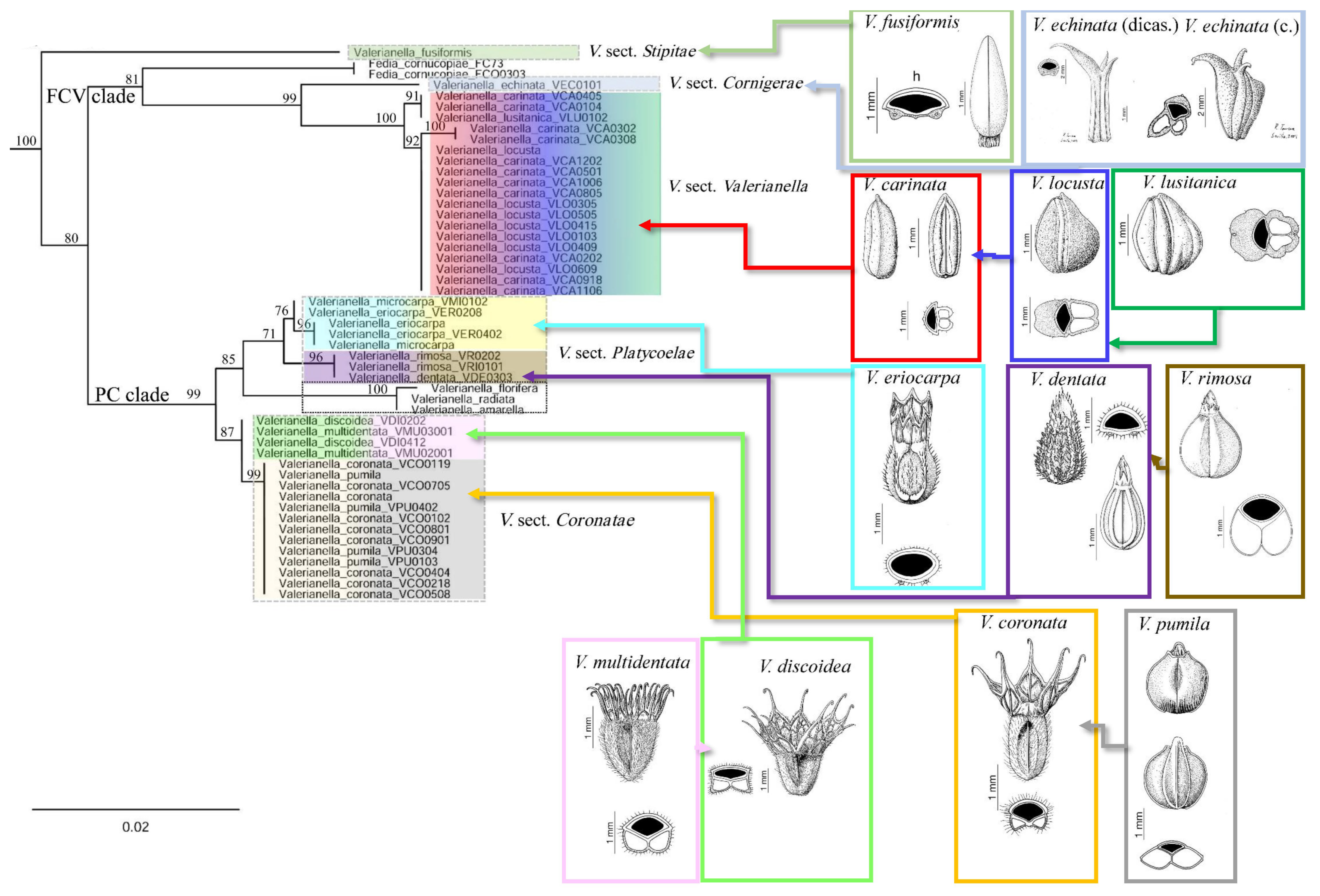 Plants 11 01276 g002