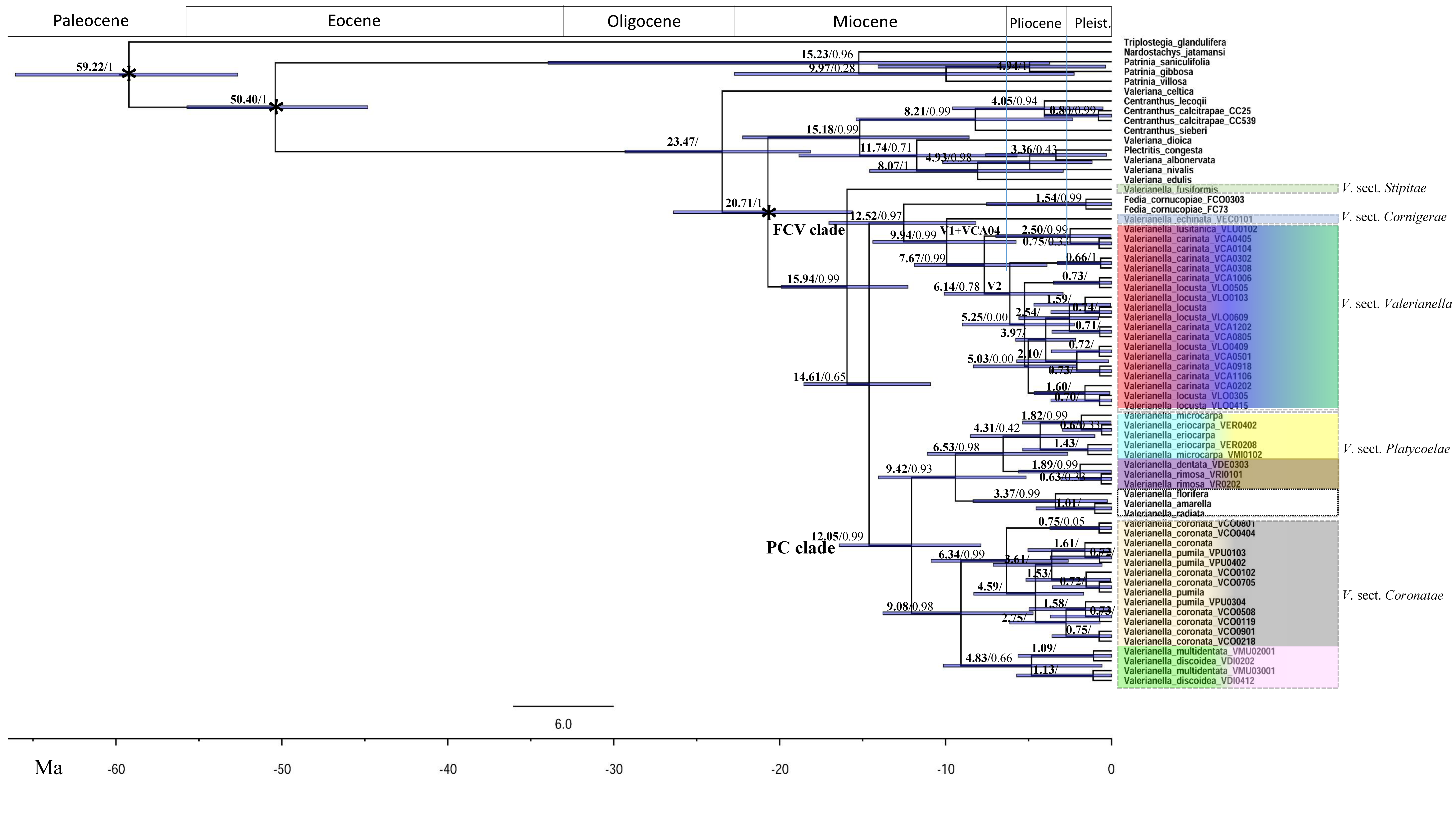 Plants 11 01276 g003