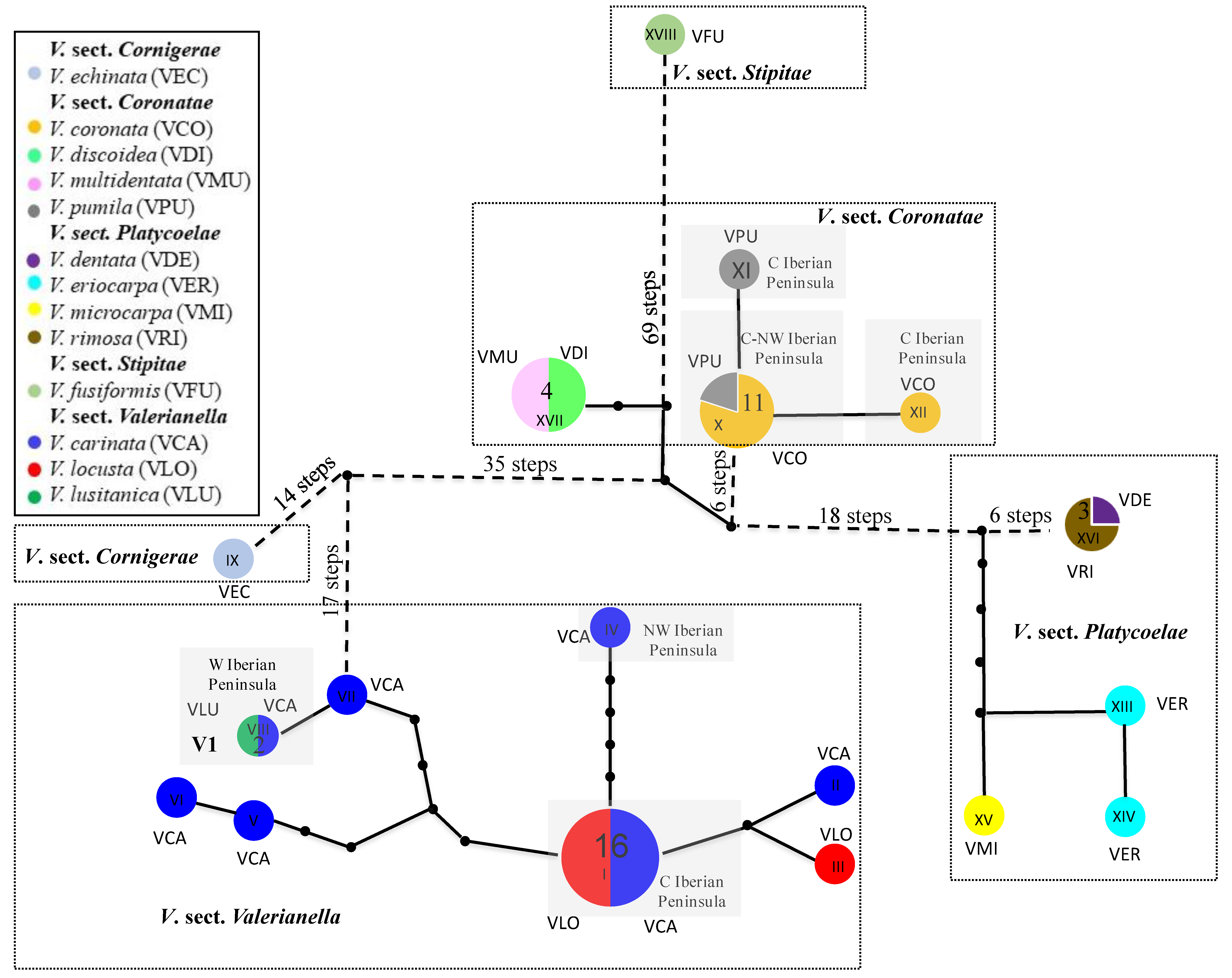 Plants 11 01276 g004