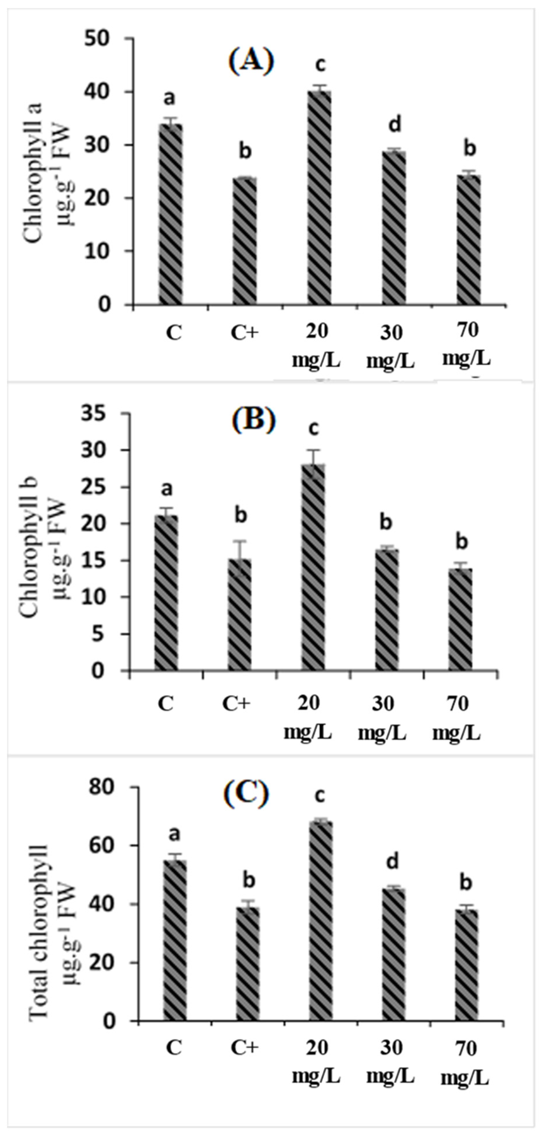 Plants 11 01283 g001
