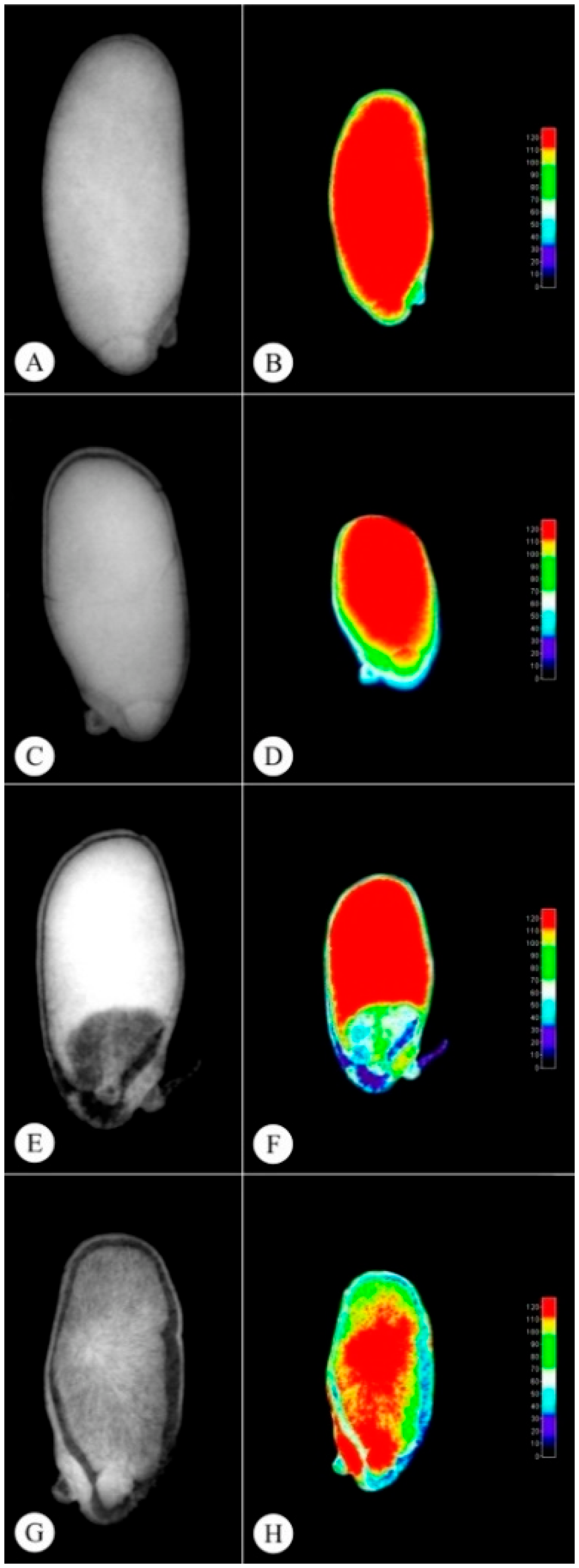 Plants 11 01302 g002