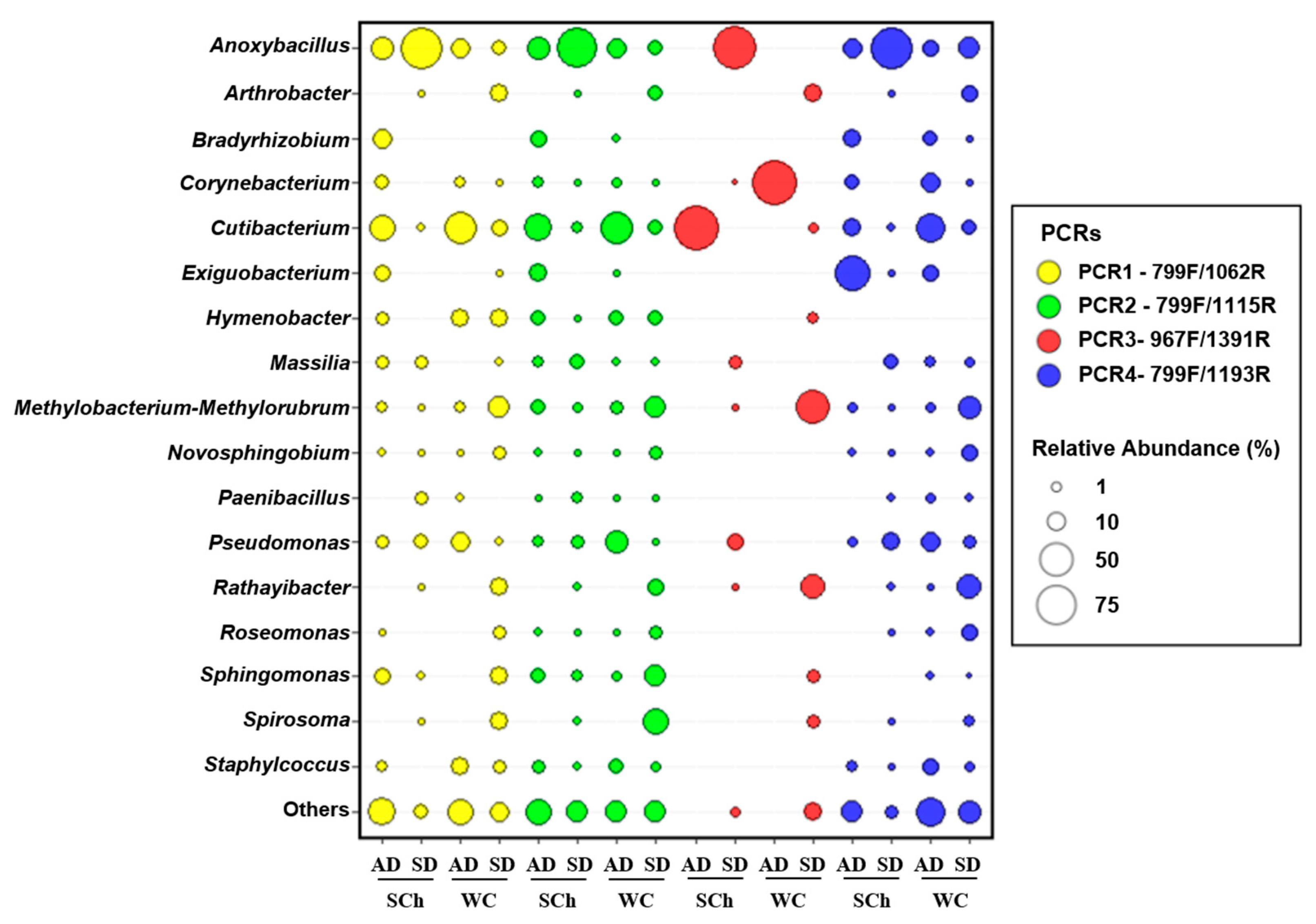 Plants Free Full Text Primer Choice And Xylem Microbiome Extraction Method Are Important Determinants In Assessing Xylem Bacterial Community In Olive Trees