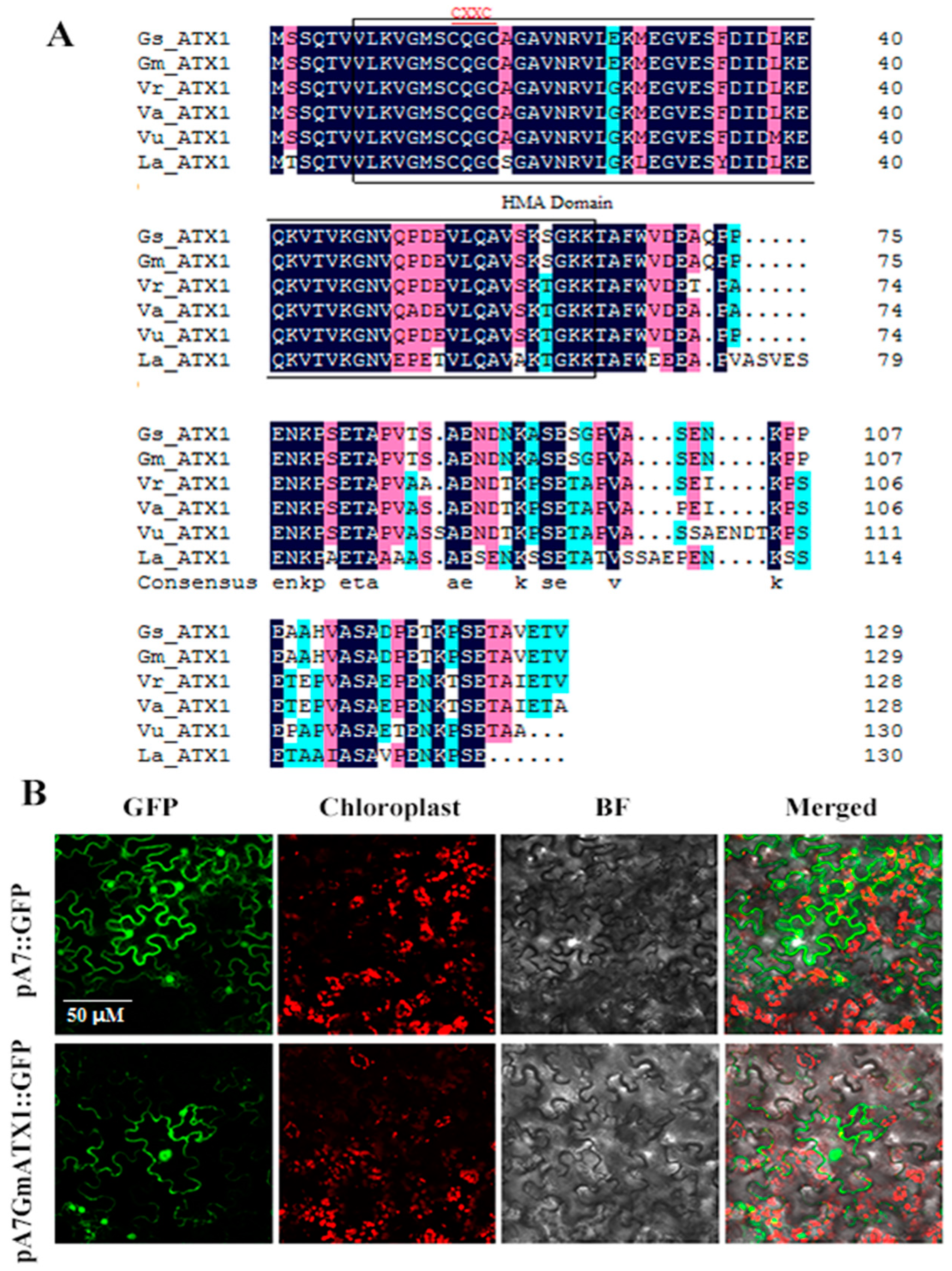 Plants 11 01325 g001