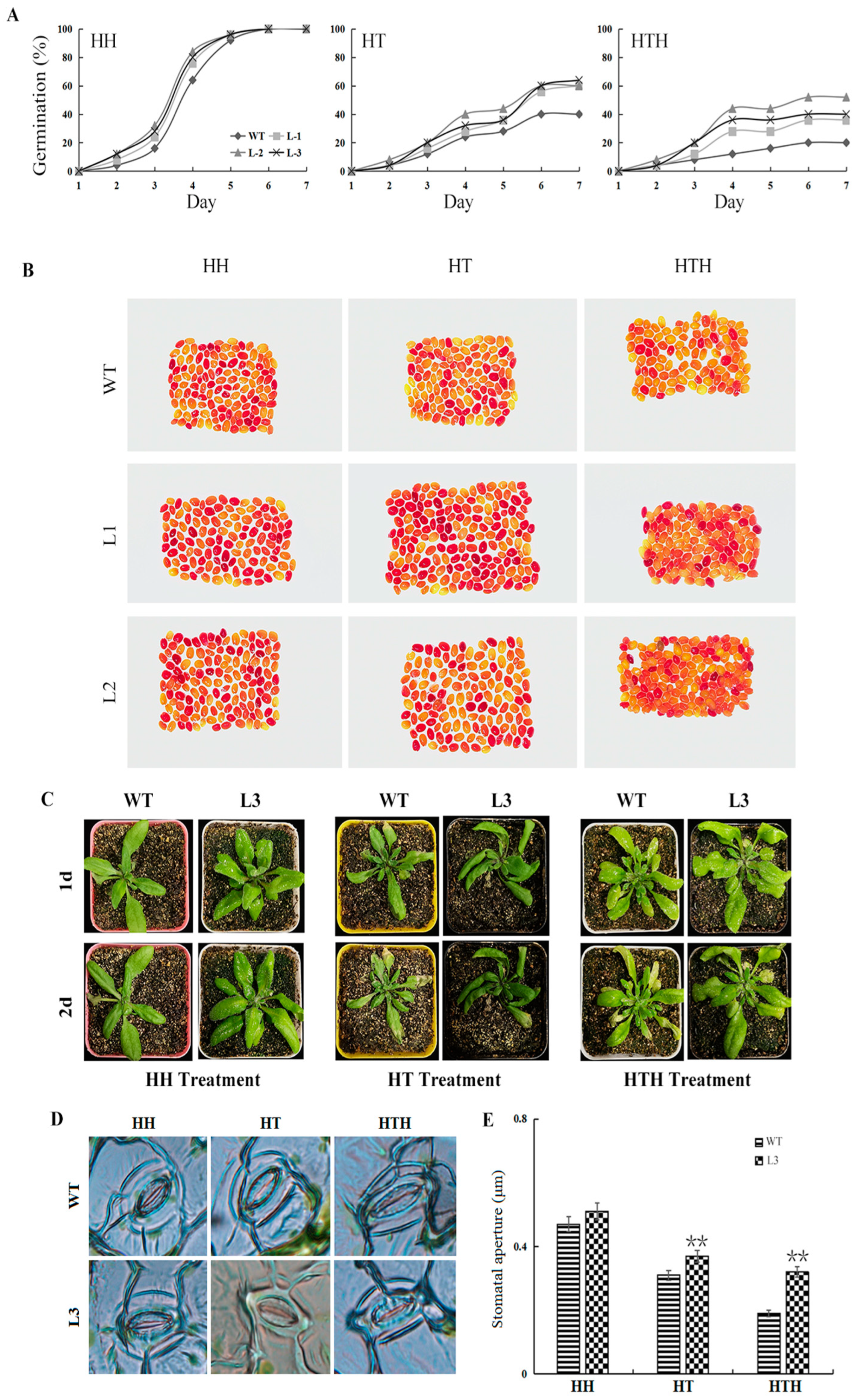 Plants 11 01325 g004