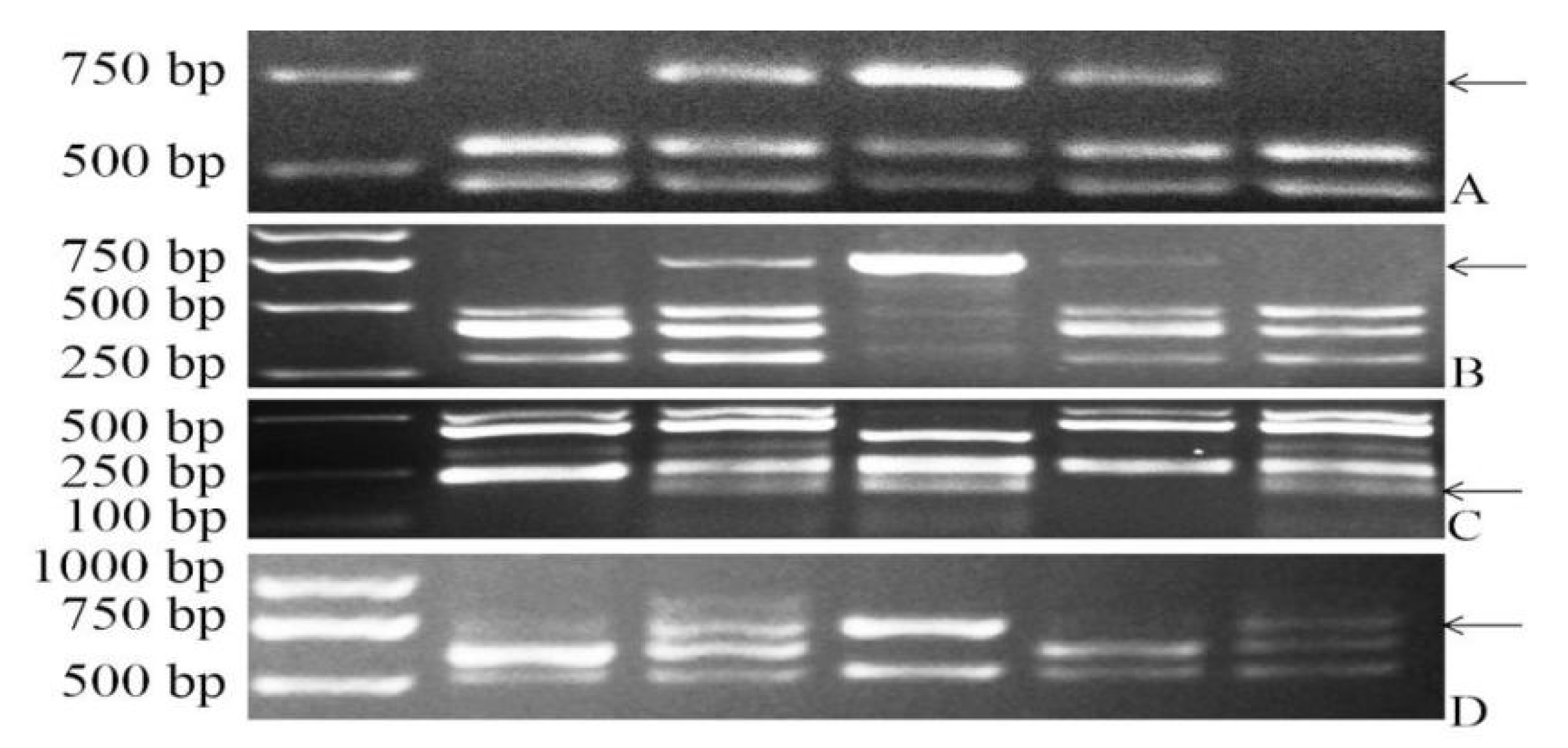 Plants 11 01329 g002