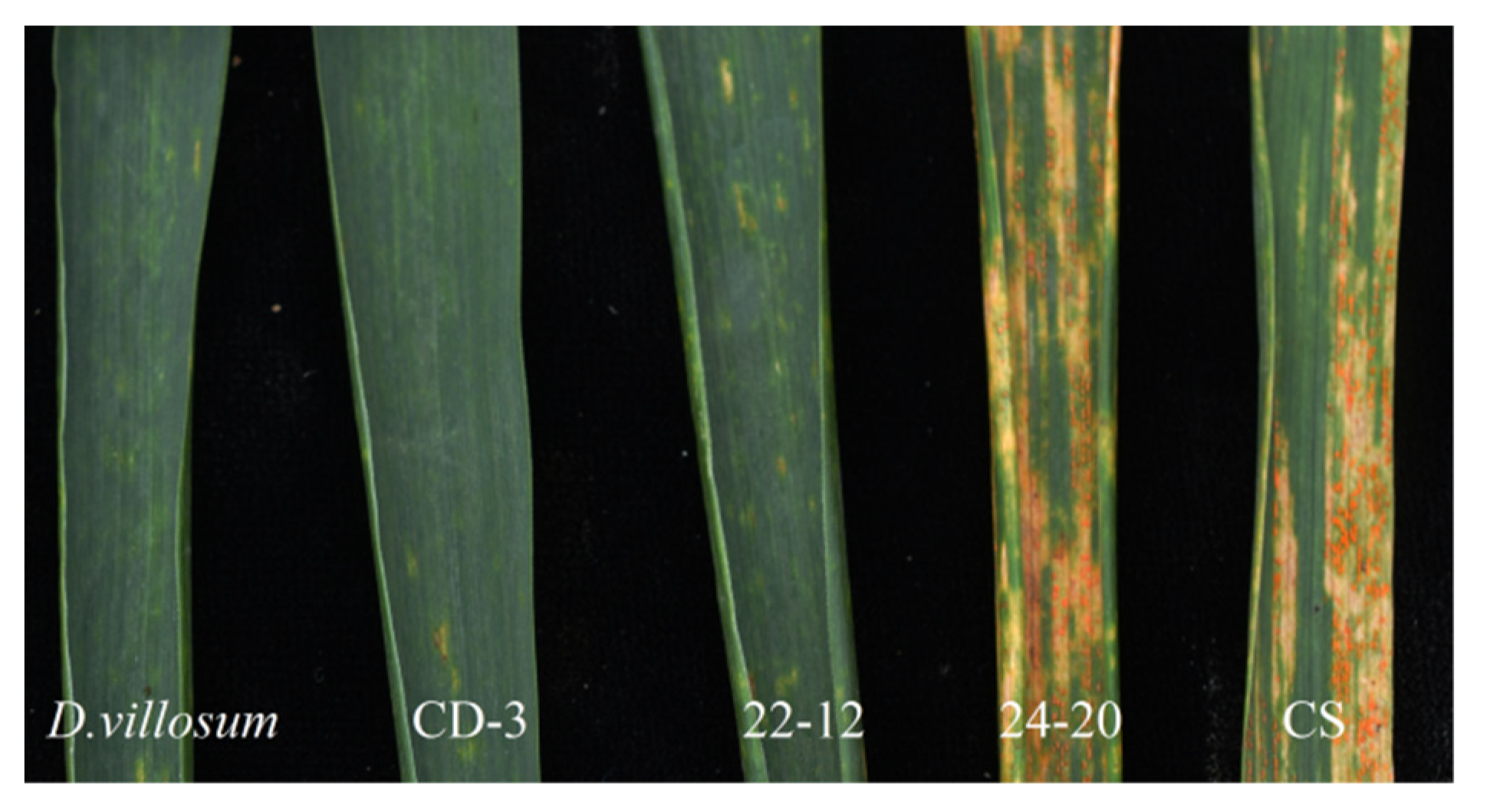 Plants 11 01329 g003