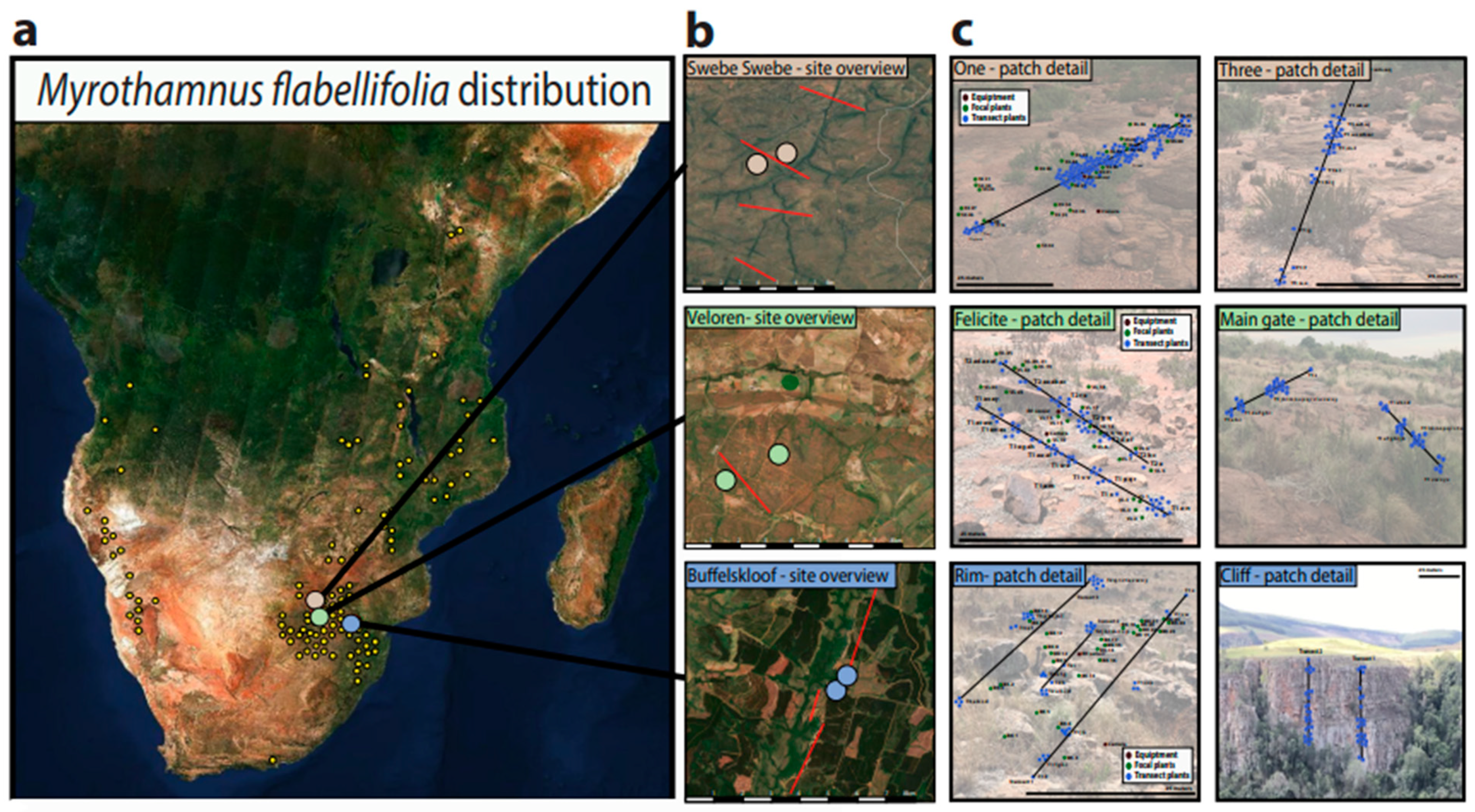 Plants 11 01332 g002