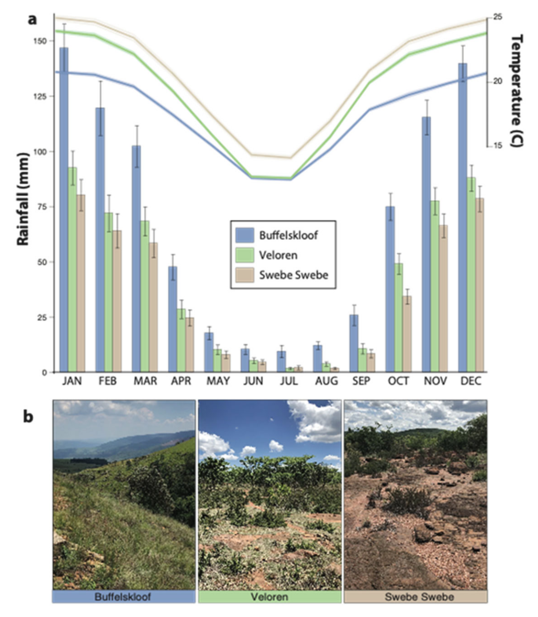 Plants 11 01332 g003