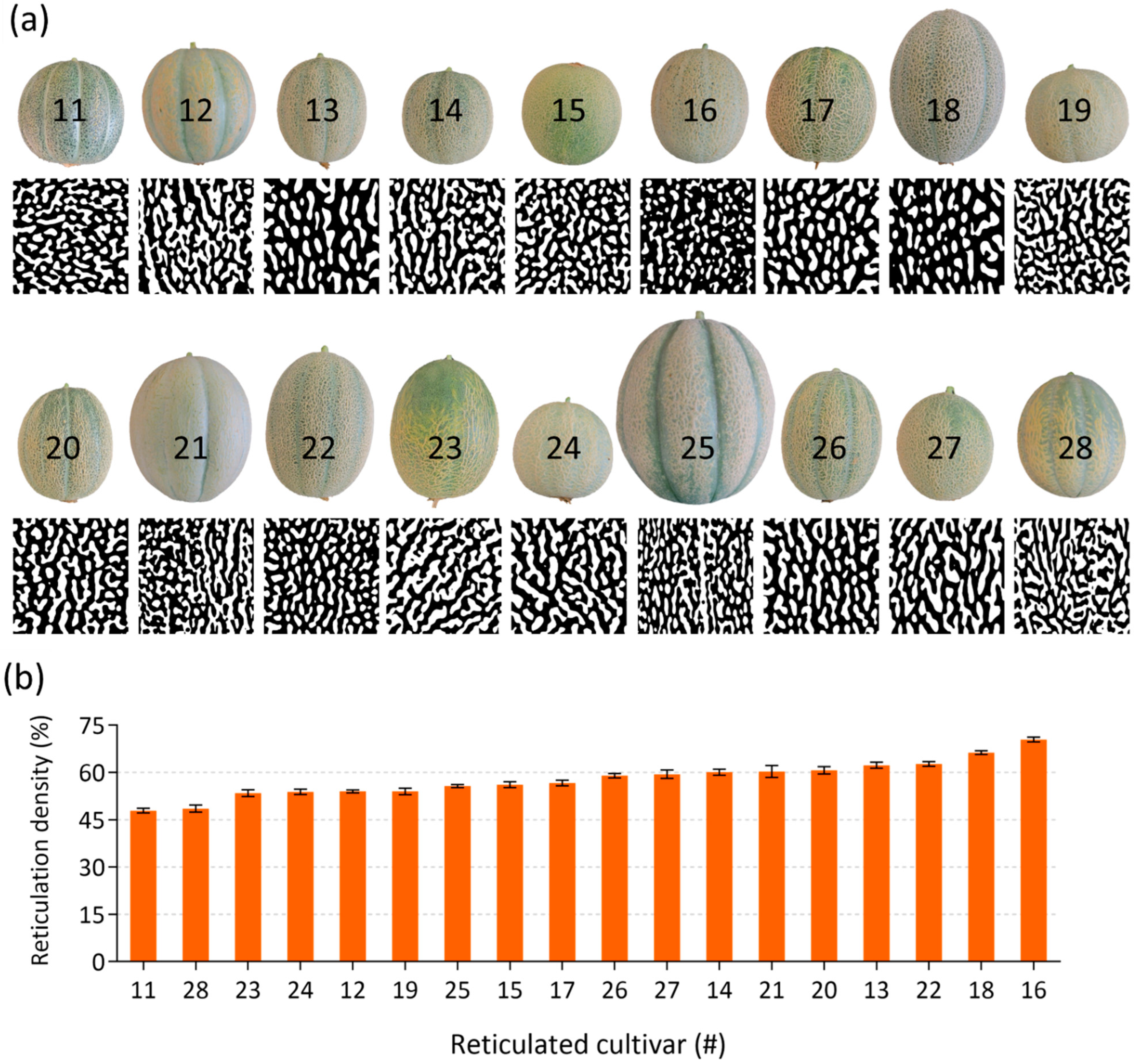 Plants 11 01336 g003