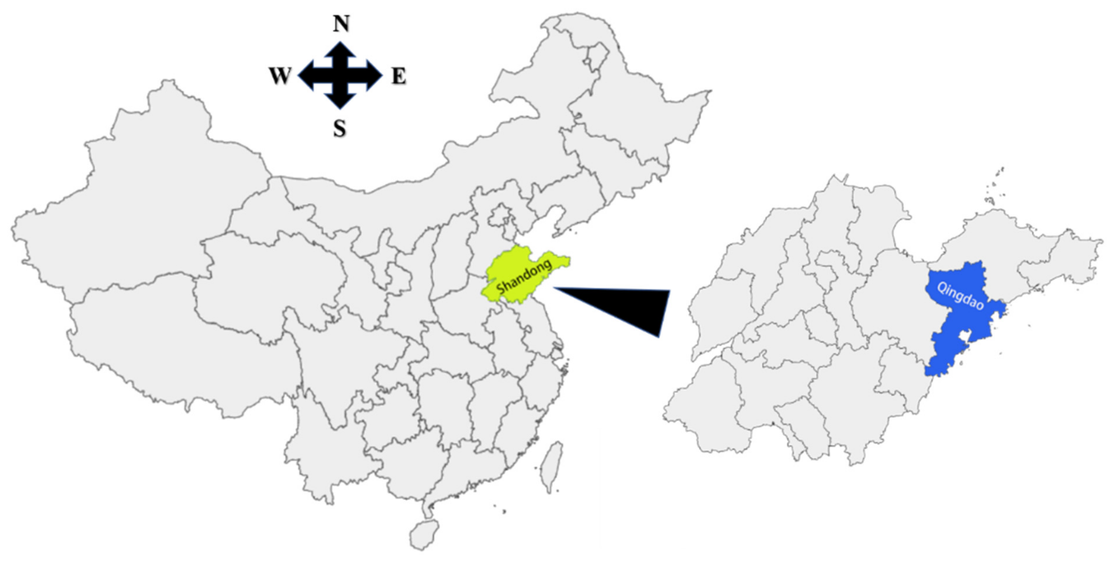 Plants 11 01350 g008 Plants 11 01350 g008