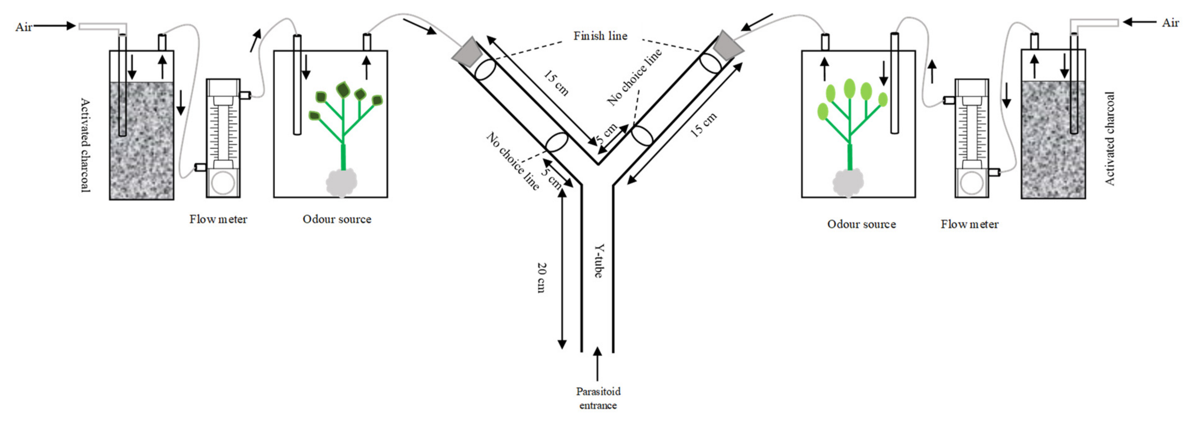 Plants 11 01350 g009 Plants 11 01350 g009