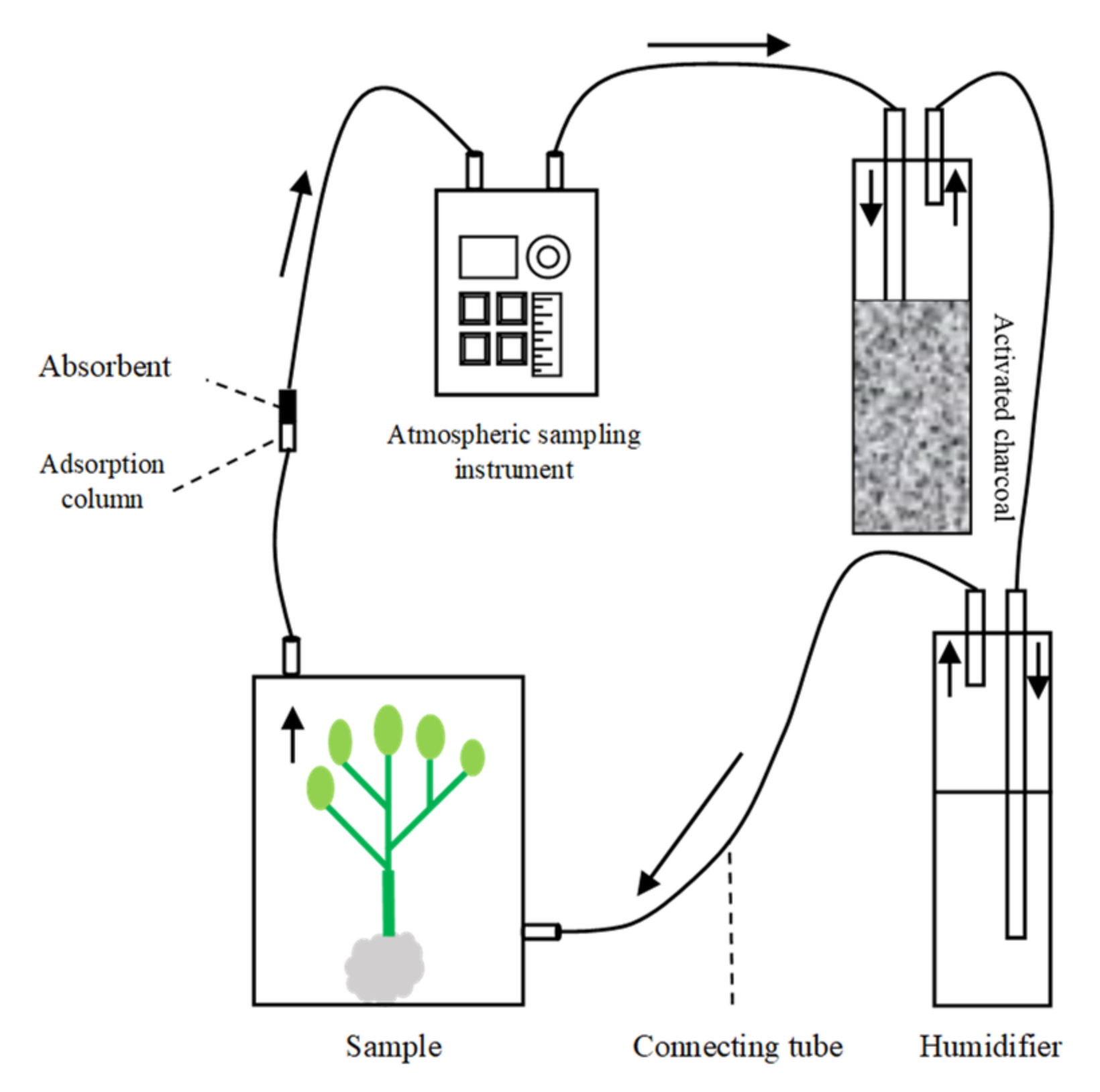 Plants 11 01350 g010 Plants 11 01350 g010