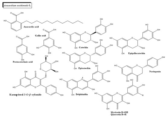 SciELO - Brasil - The potential antidiabetic properties of Liang (<i>Gnetum  gnemon</i> var.<i>tenerum</i>) leaves The potential antidiabetic properties  of Liang (<i>Gnetum gnemon</i> var.<i>tenerum</i>) leaves