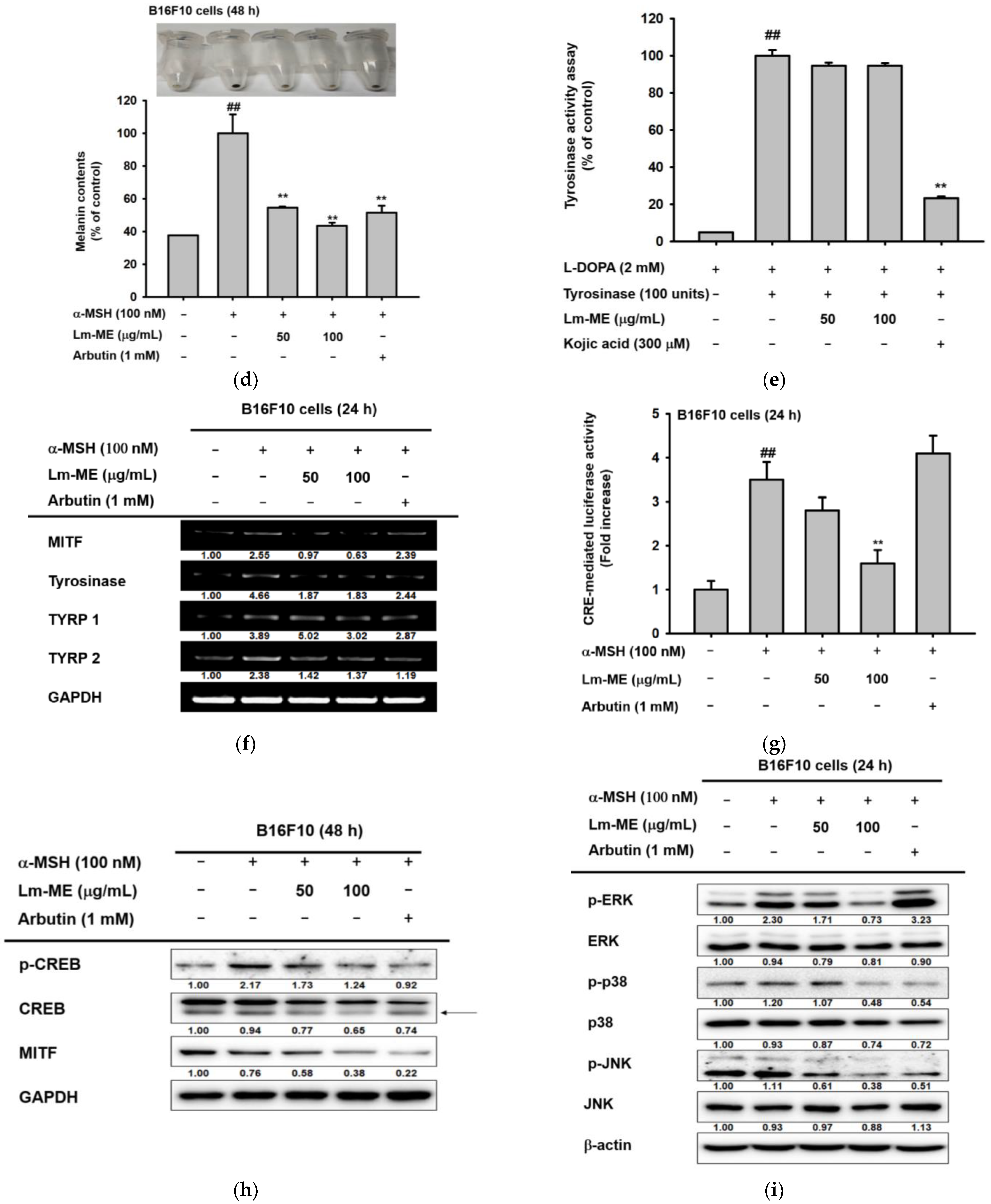 Plants 11 01383 g004b Plants 11 01383 g004b