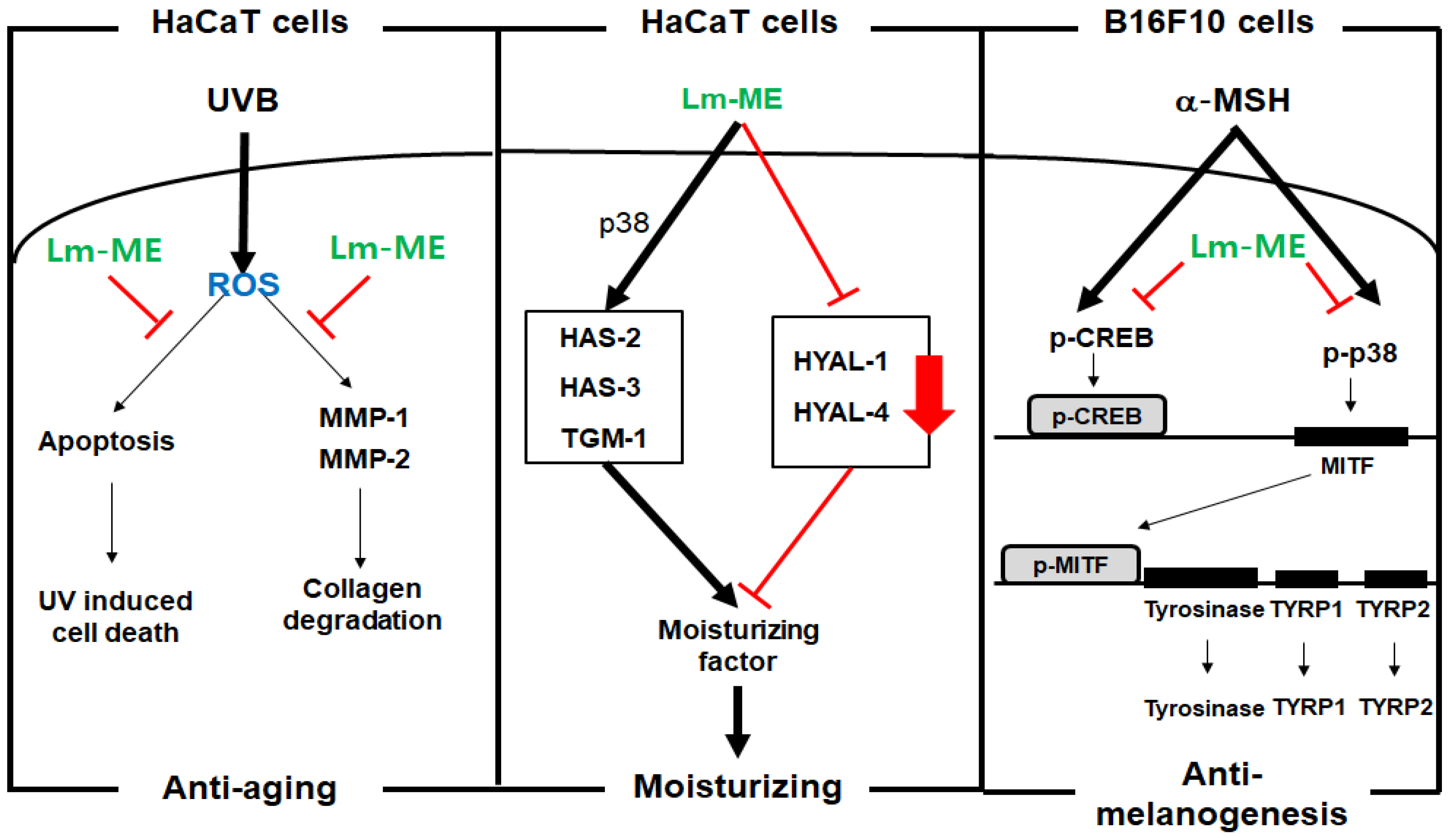 Plants 11 01383 g005 Plants 11 01383 g005