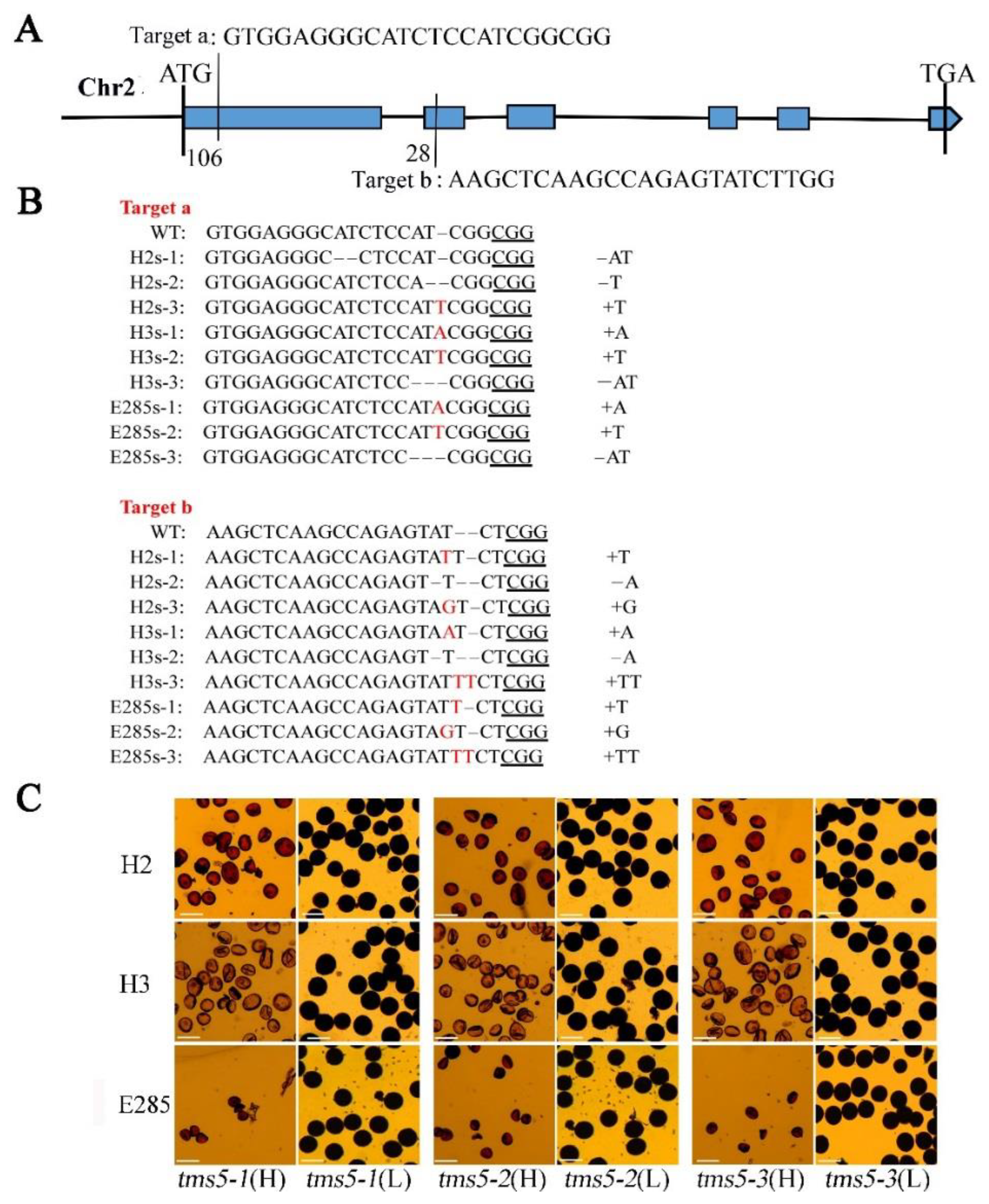 Plants 11 01390 g001