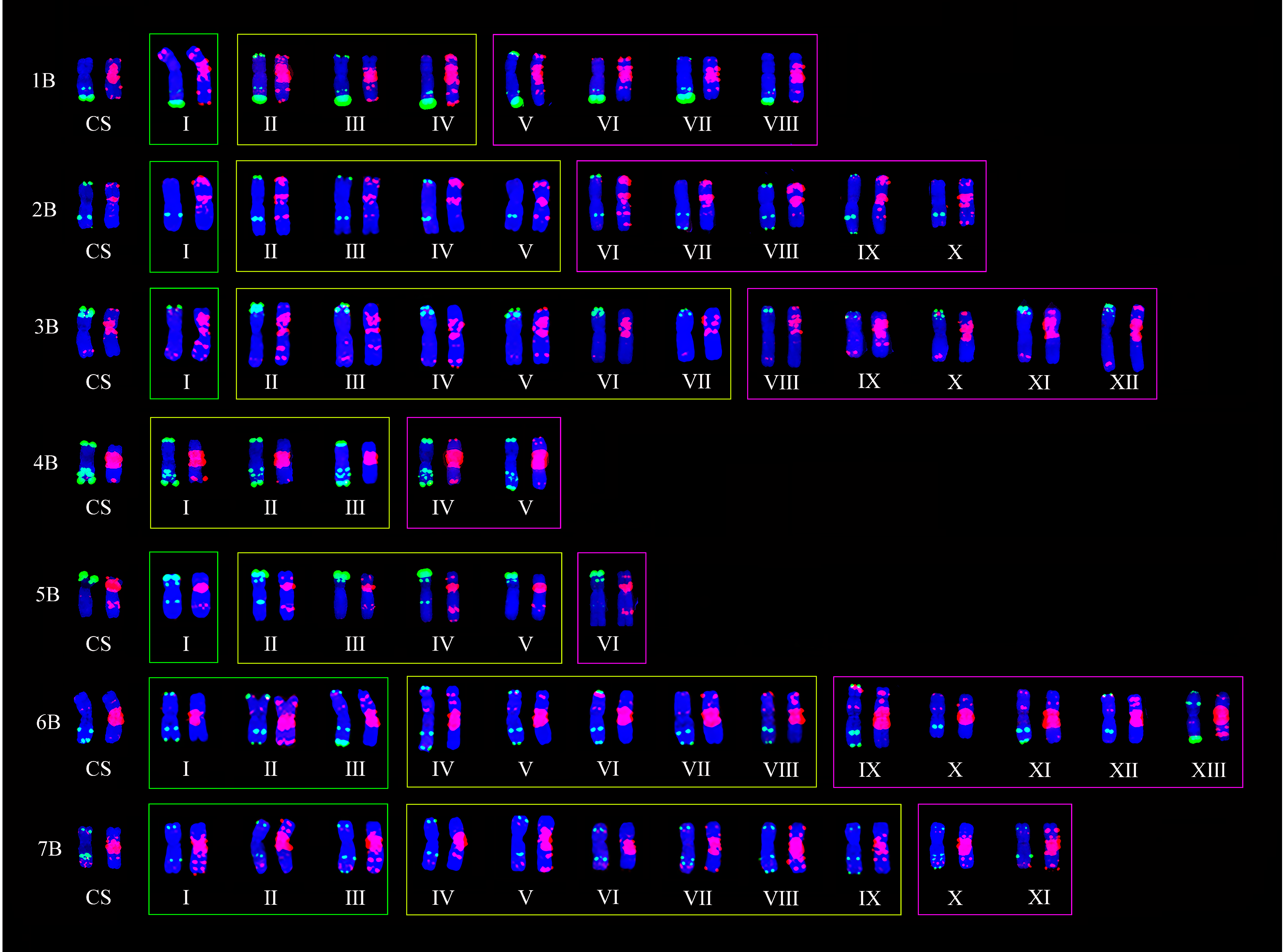 Plants 11 01403 g004