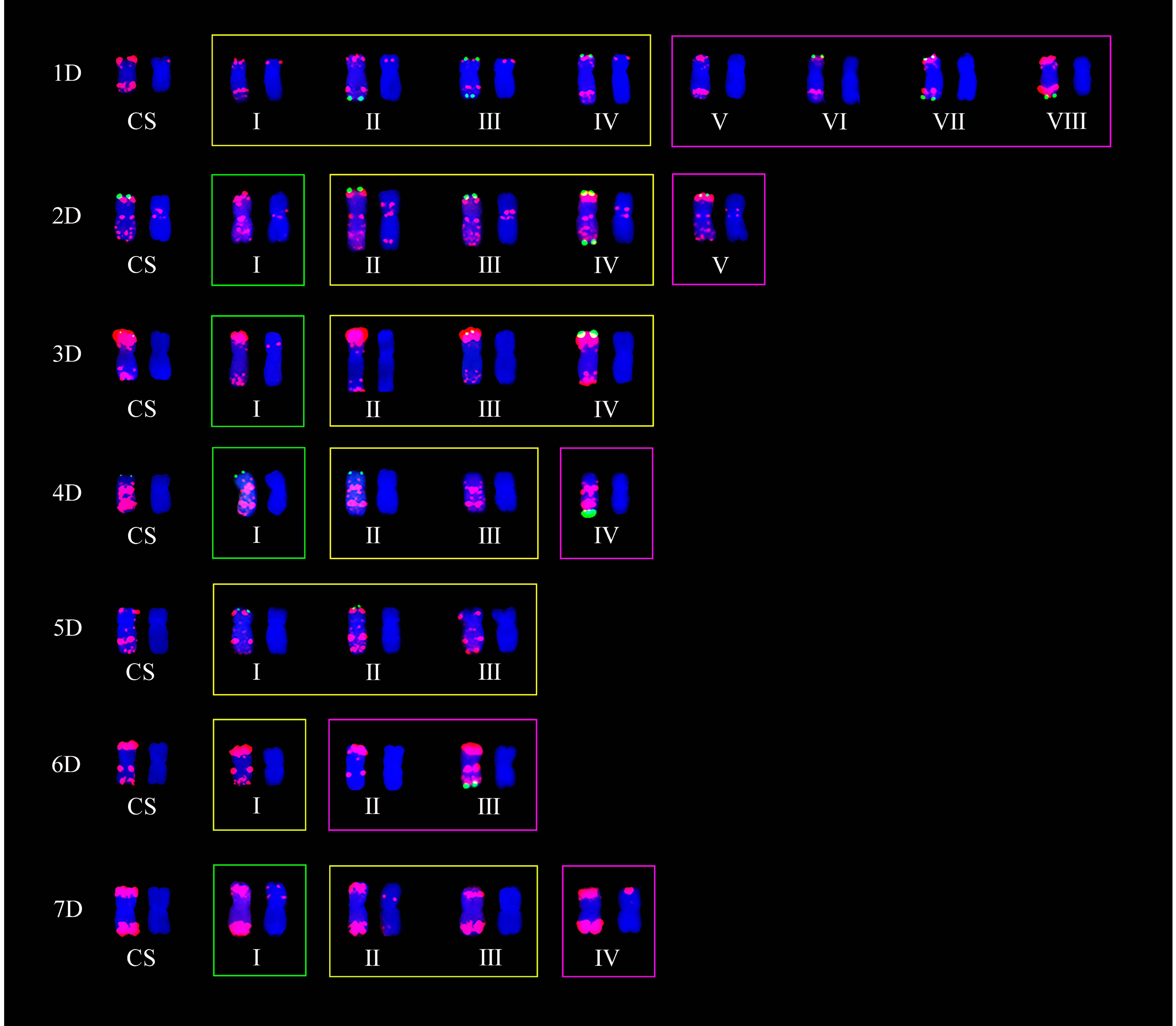 Plants 11 01403 g005