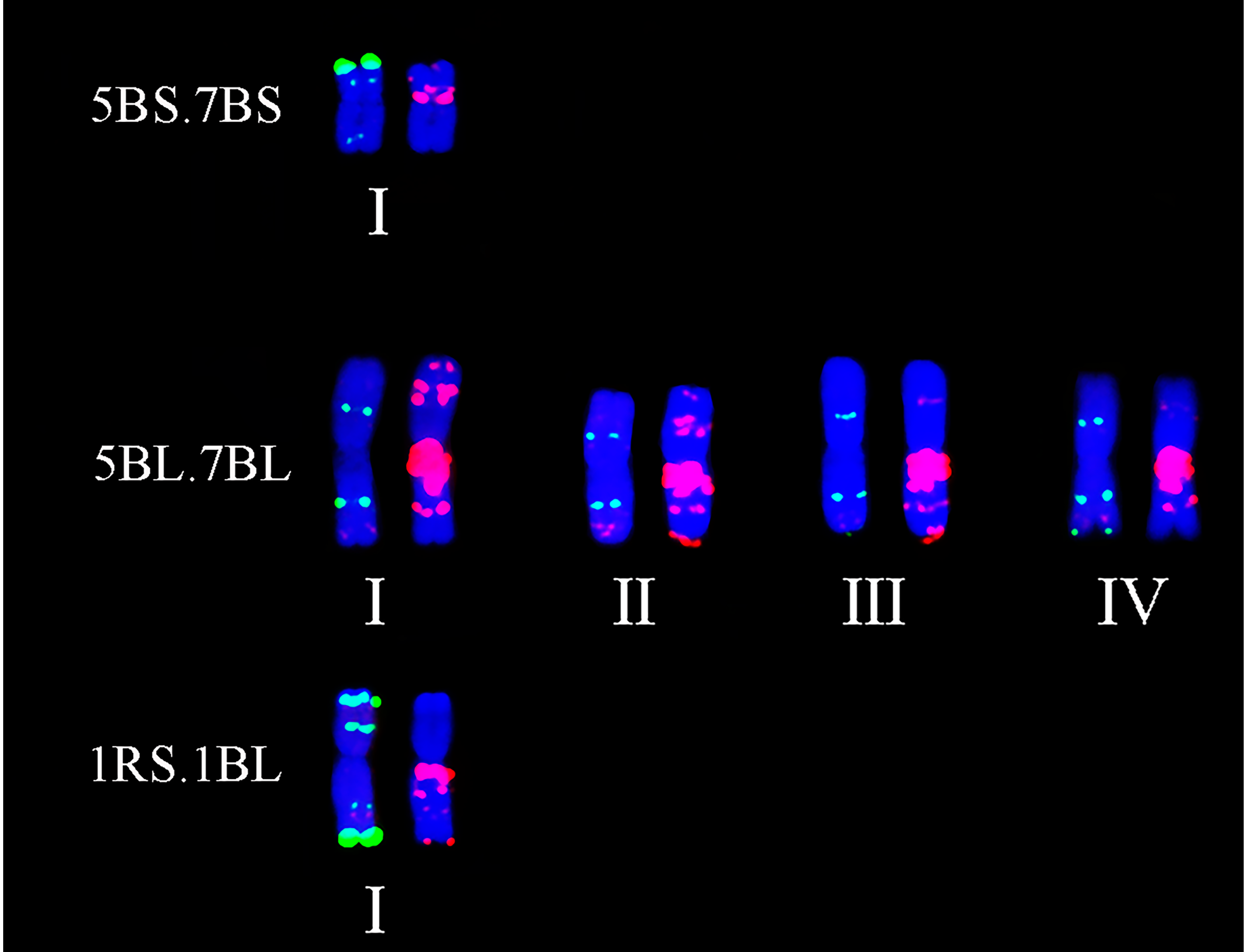 Plants 11 01403 g006