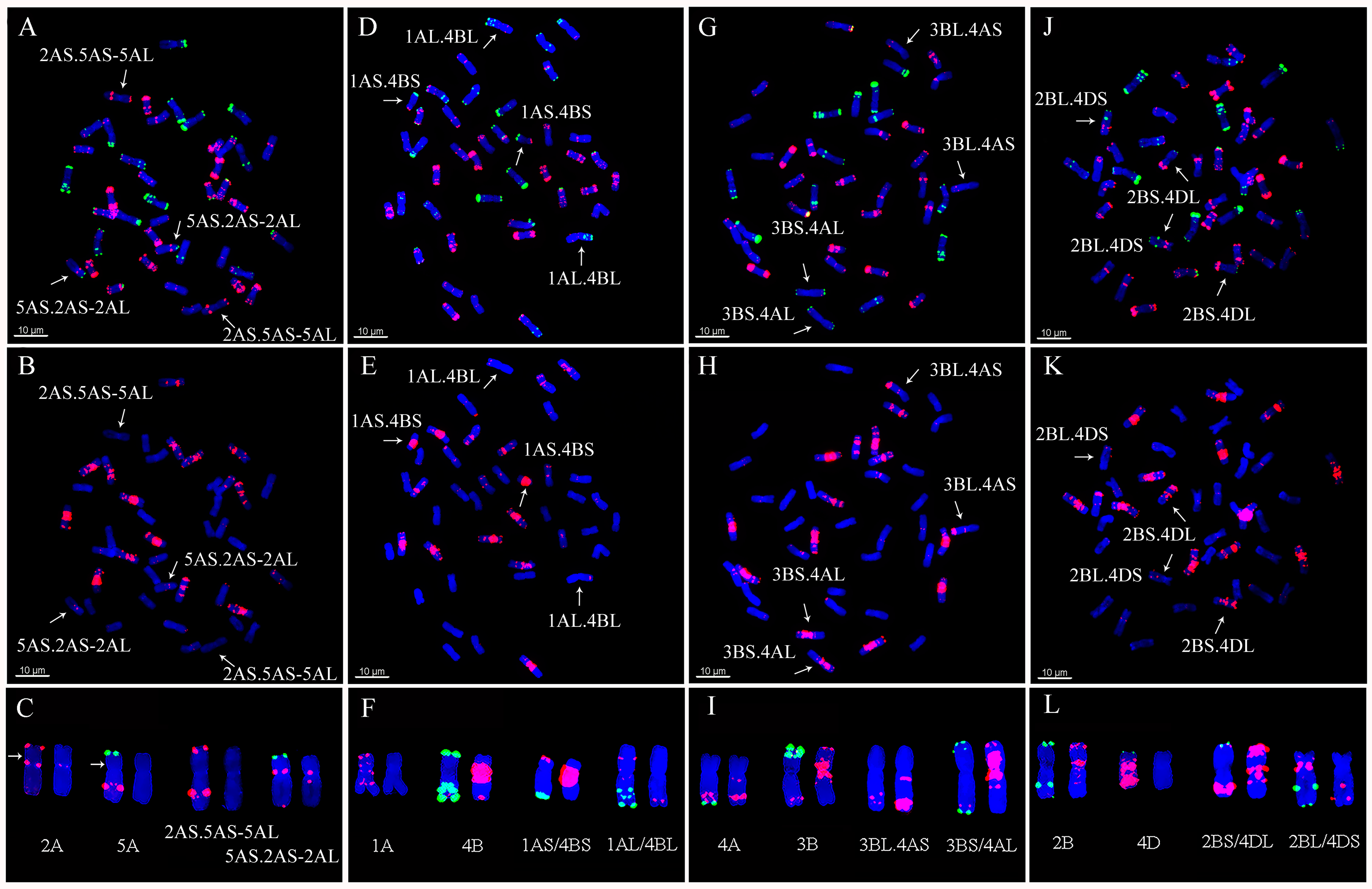 Plants 11 01403 g007