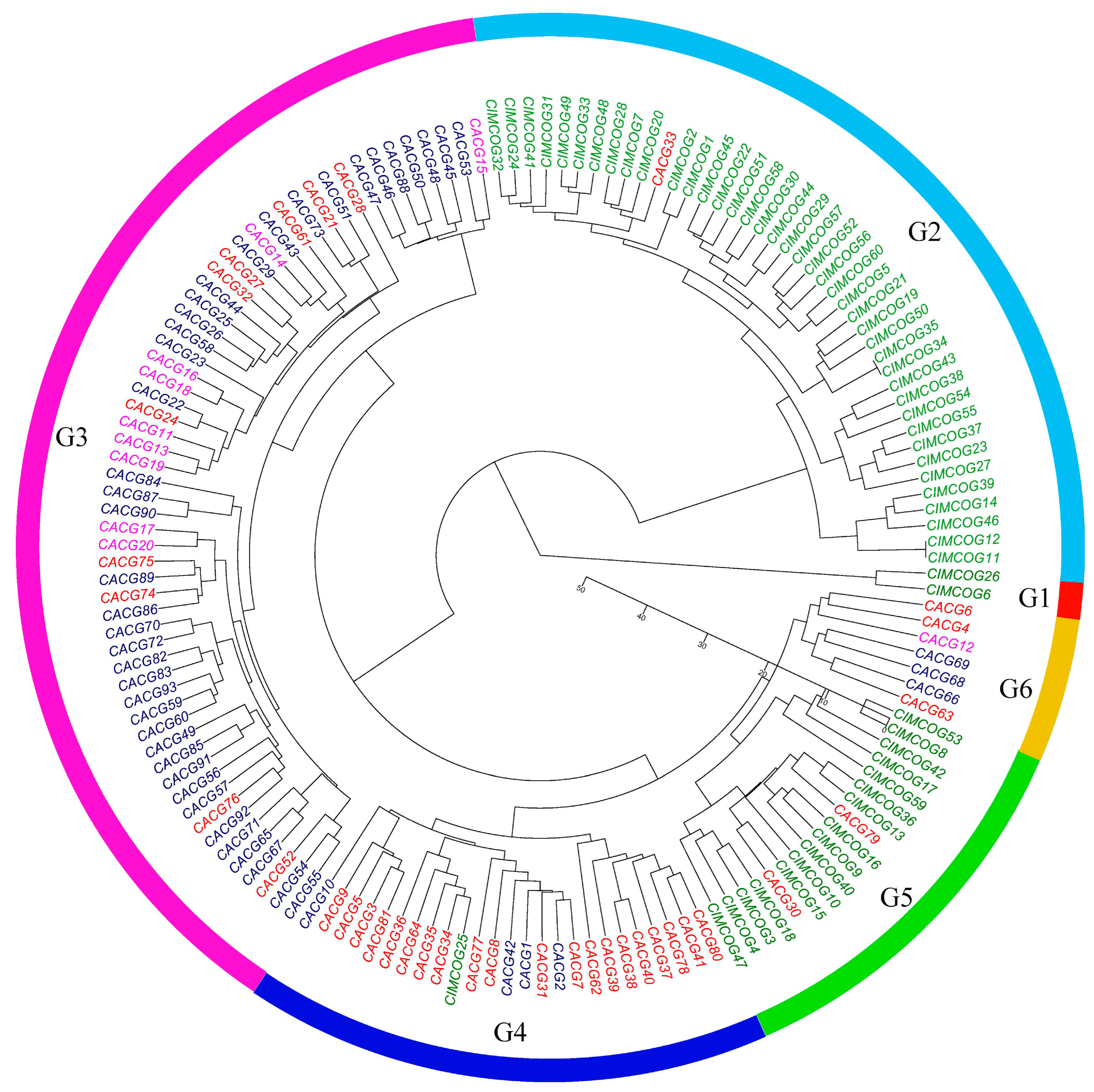 Plants 11 01403 g009