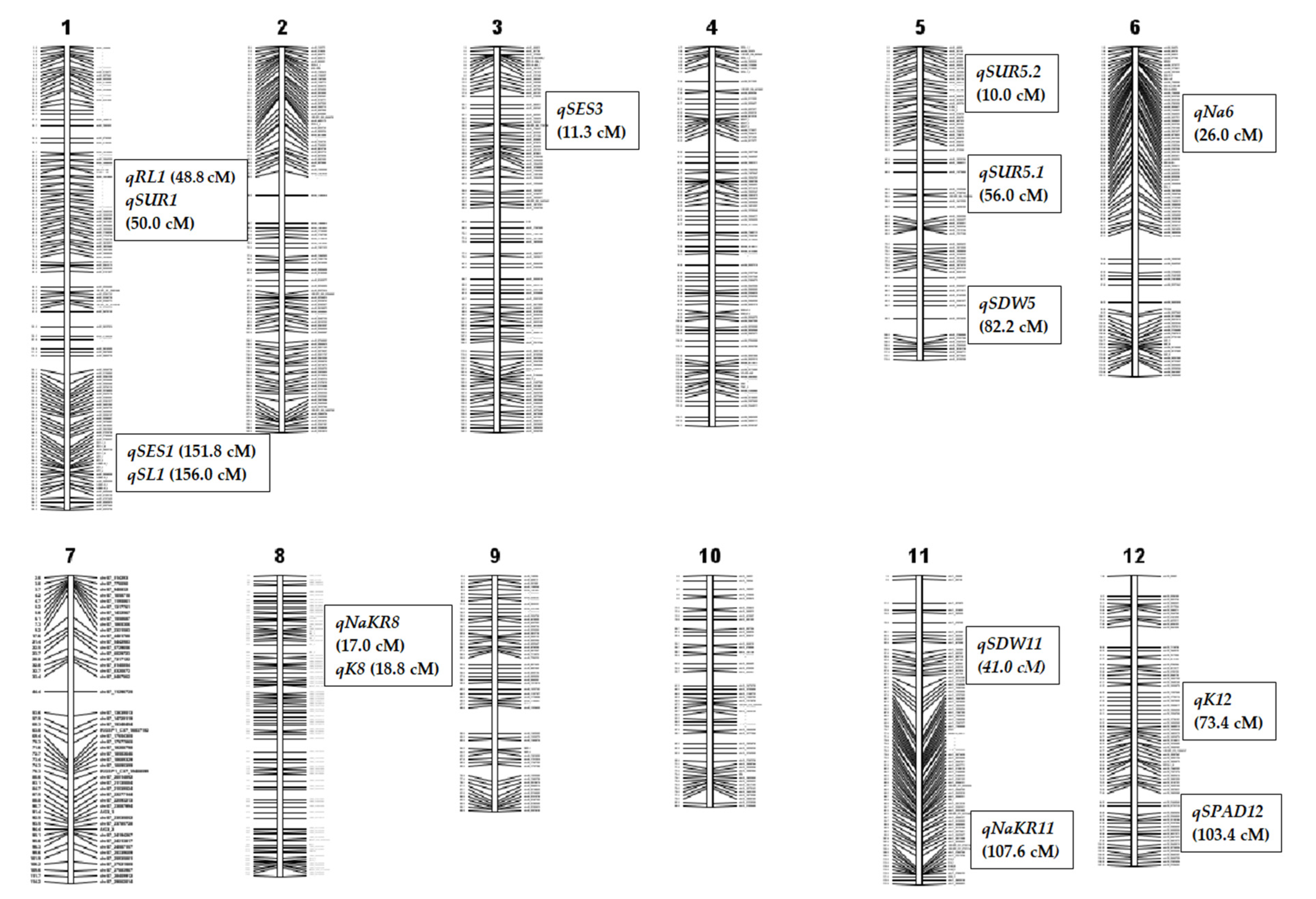 Plants 11 01409 g003
