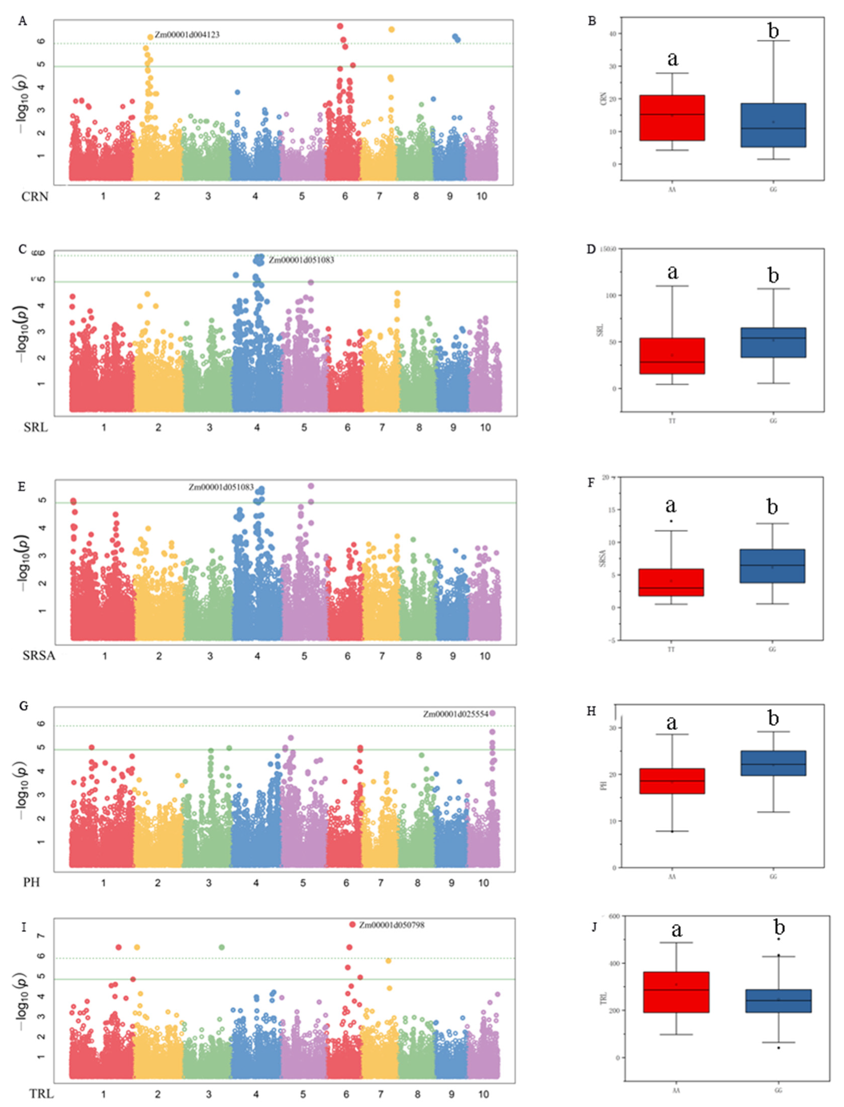 Plants 11 01417 g005
