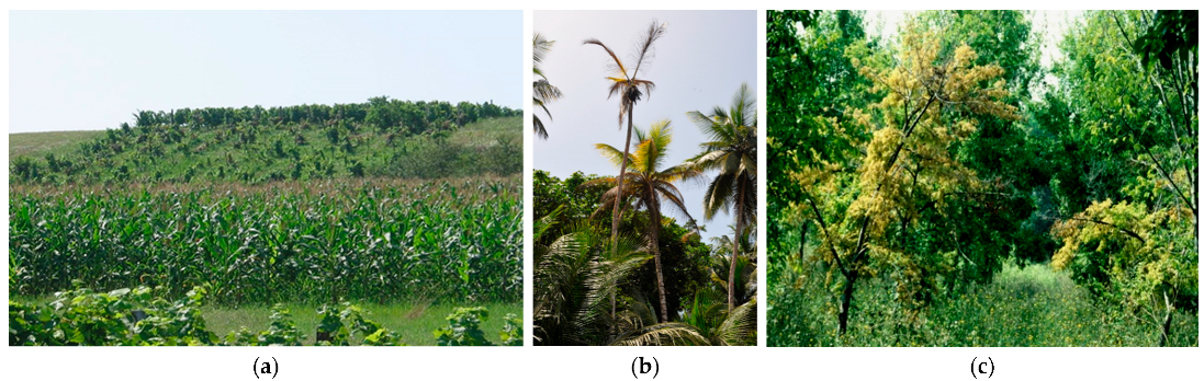 Plants 11 01425 g007 Plants 11 01425 g007