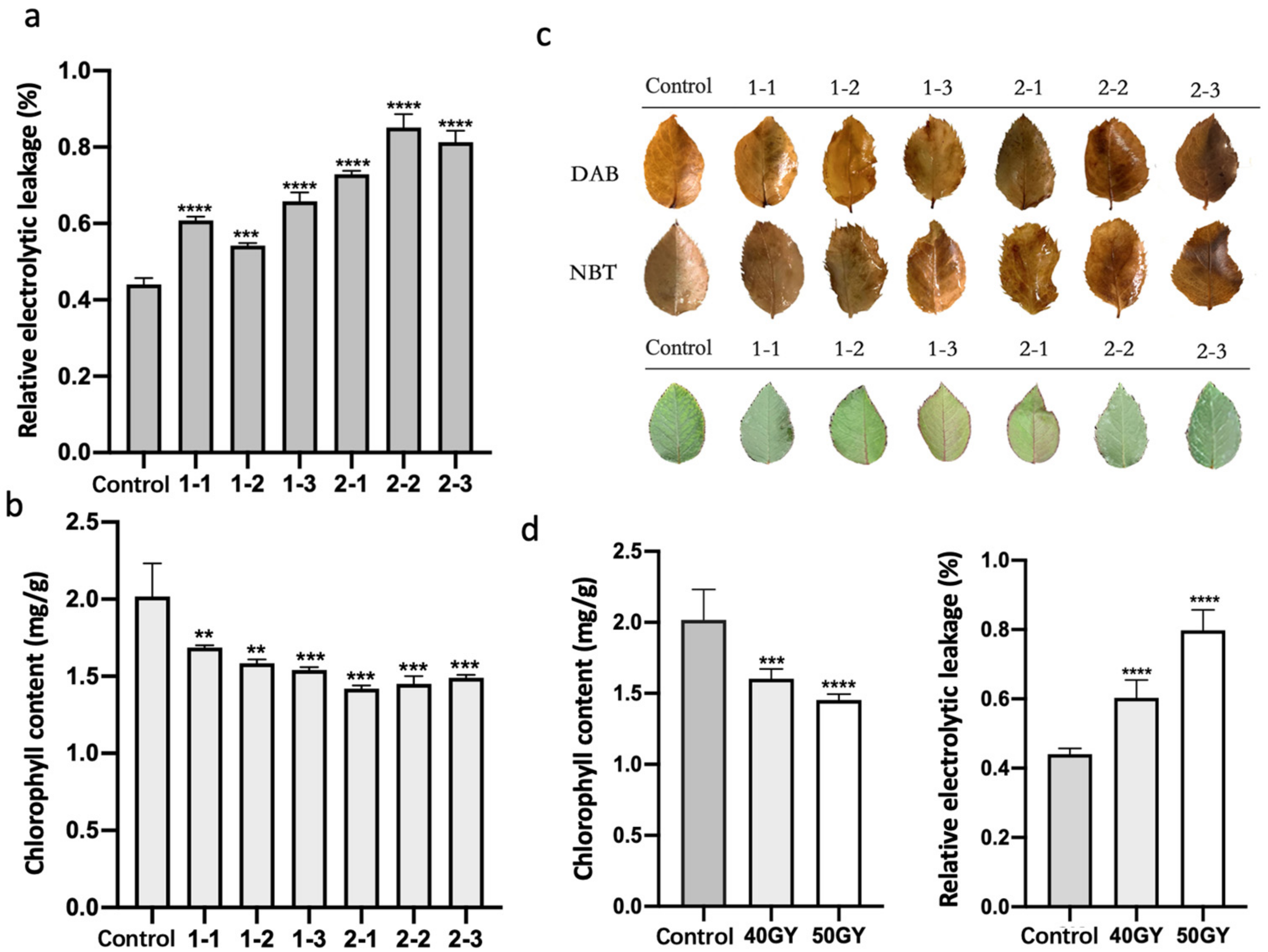 Plants 11 01438 g002 Plants 11 01438 g002