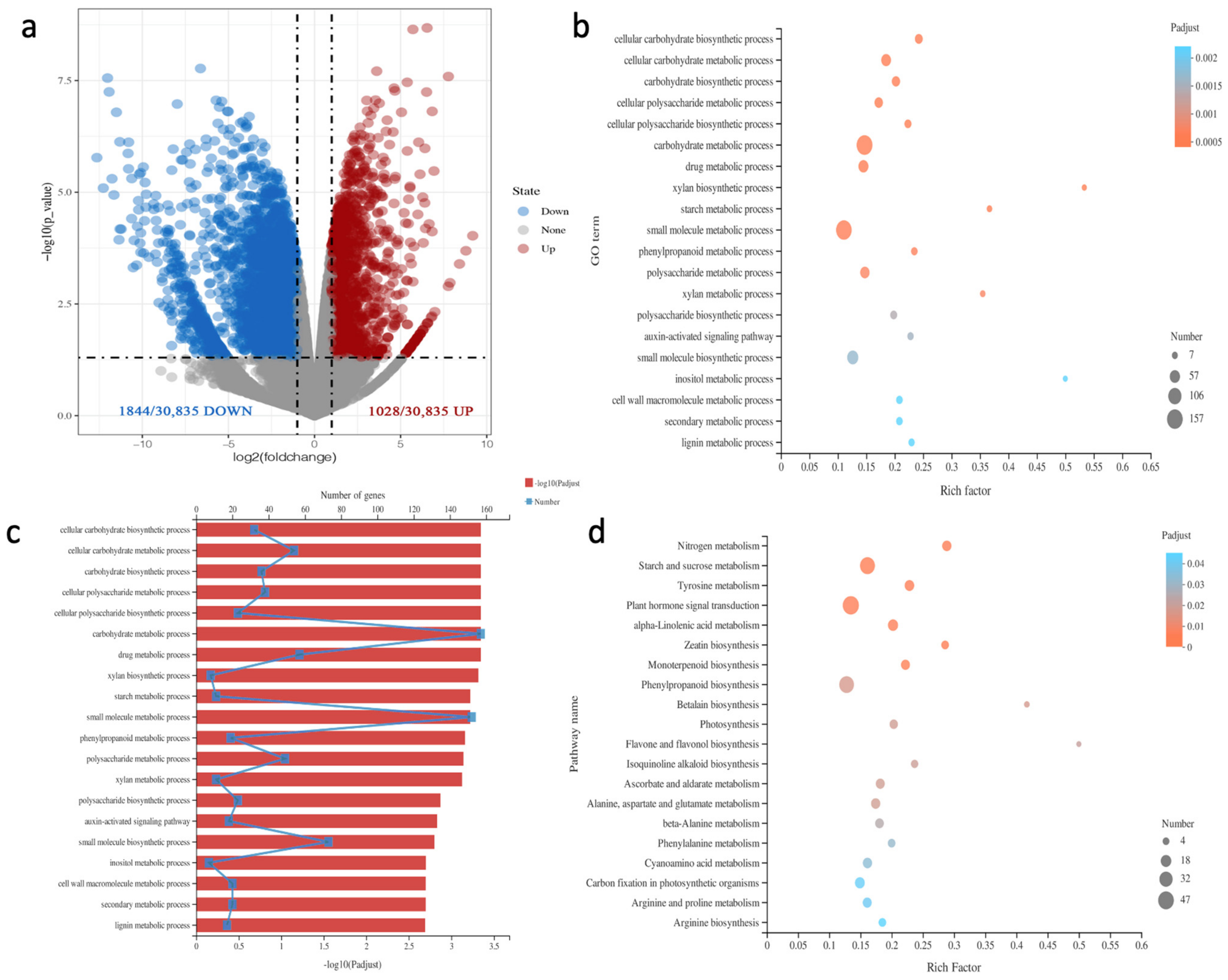 Plants 11 01438 g003 Plants 11 01438 g003
